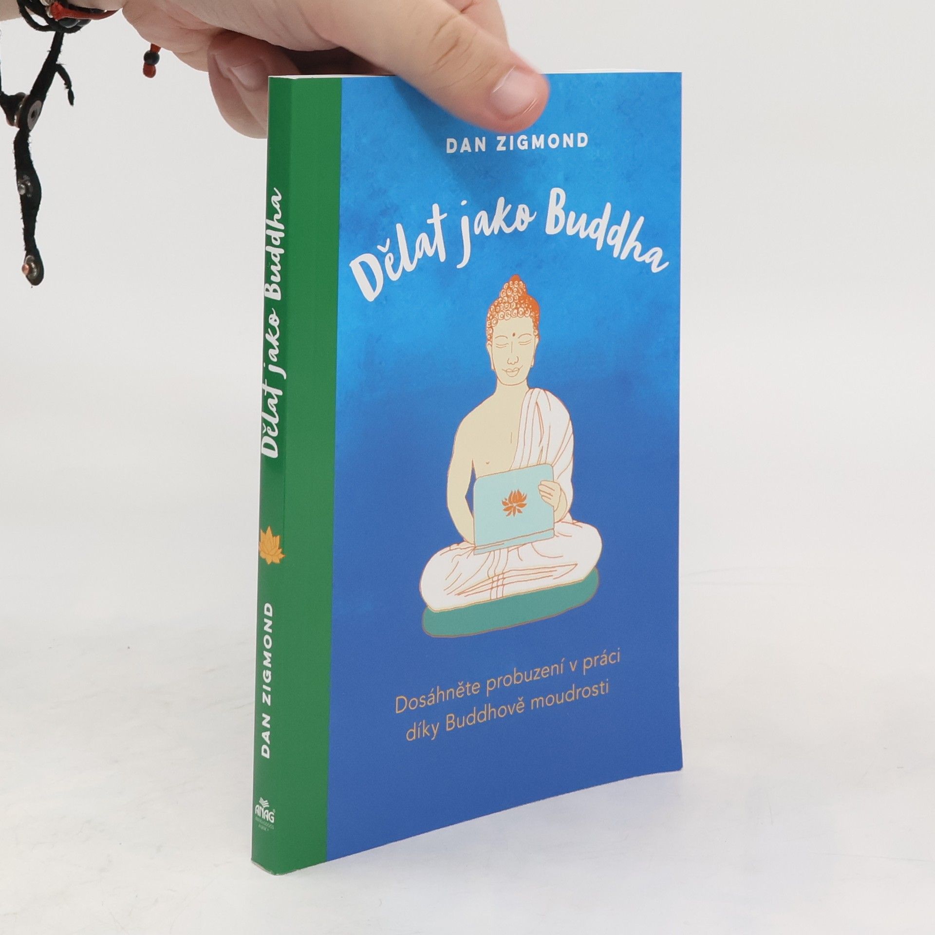 Dan Zigmond Dělat jako Buddha