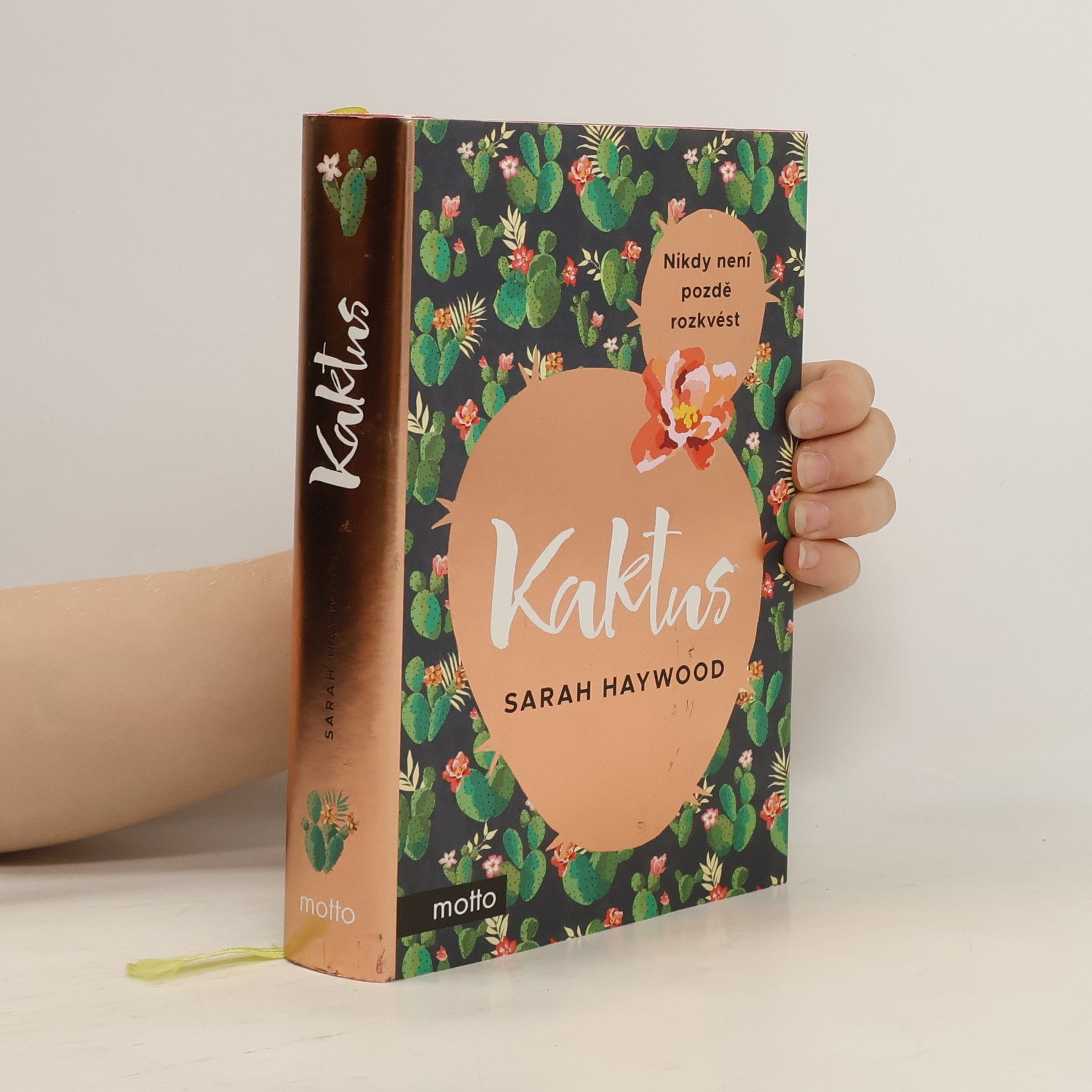 Sarah Haywood Kaktus