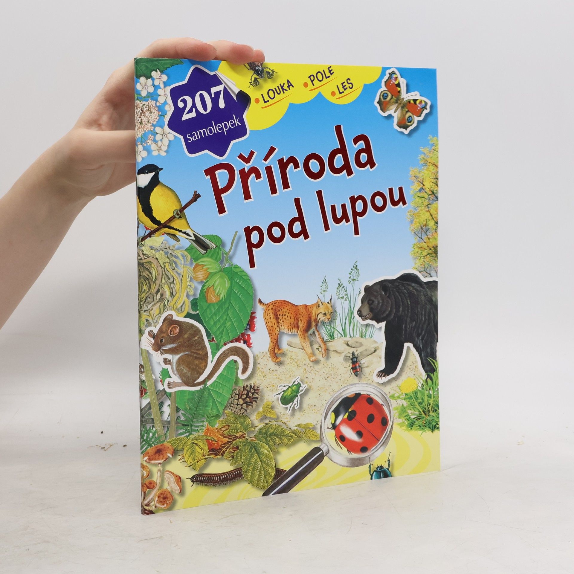 Autorenkollektiv Příroda pod lupou - louka, pole, les