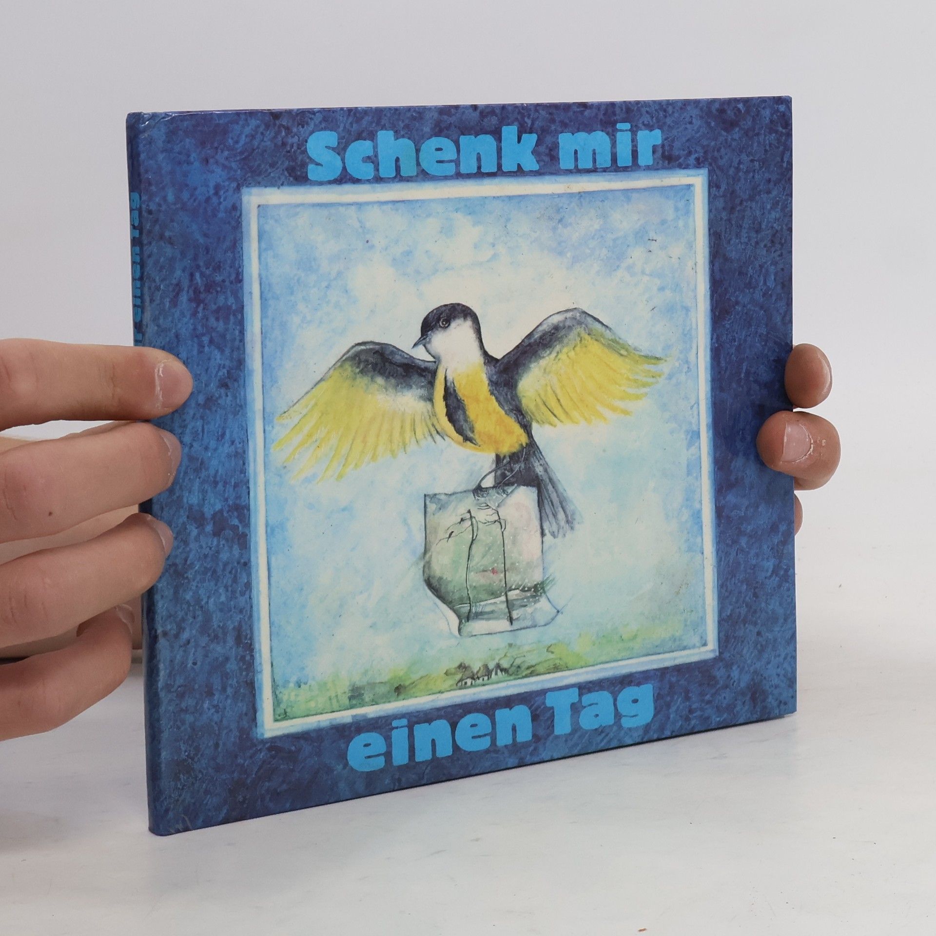 Collectif d'auteurs Schenk mir einen Tag