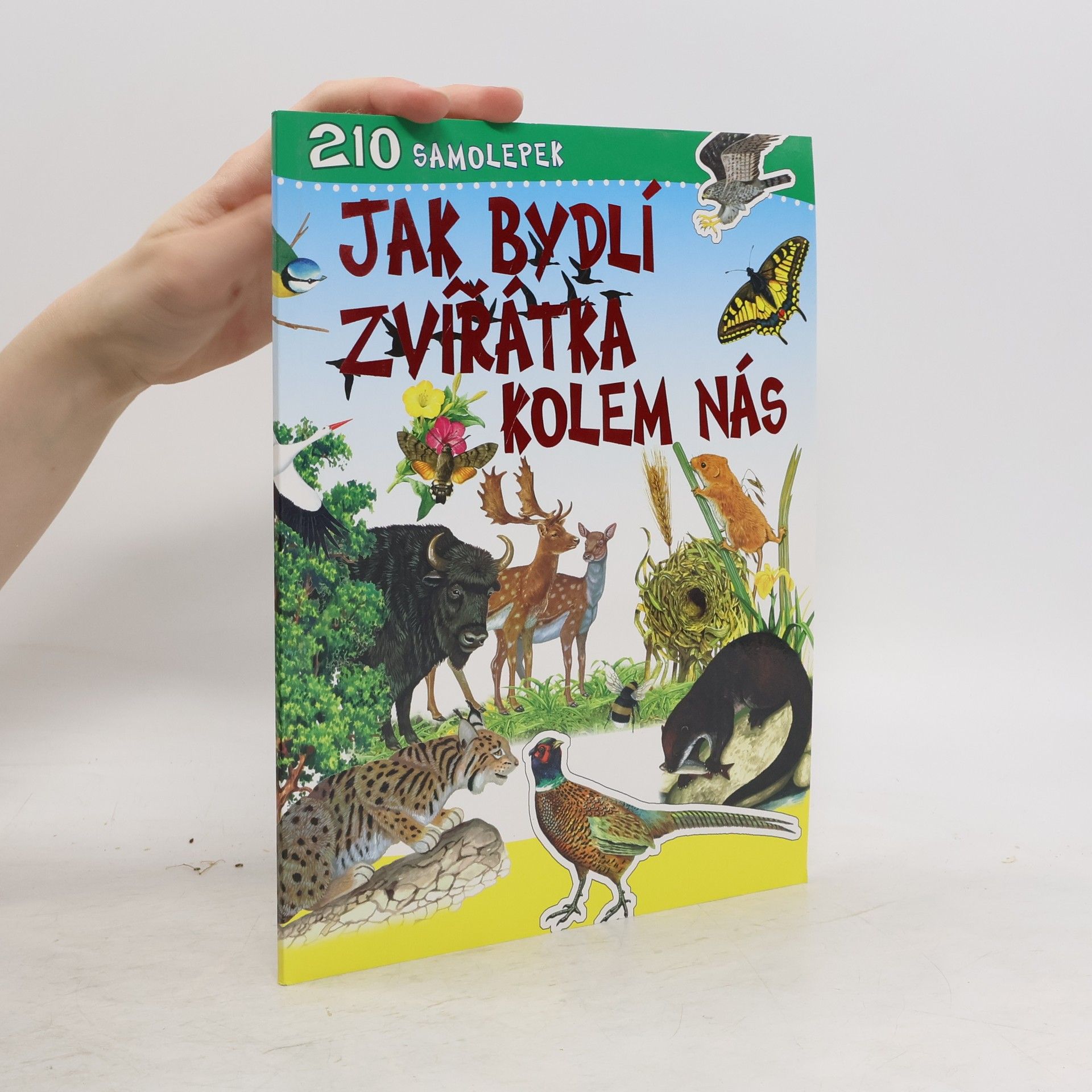 Autorenkollektiv Jak bydlí zvířátka kolem nás
