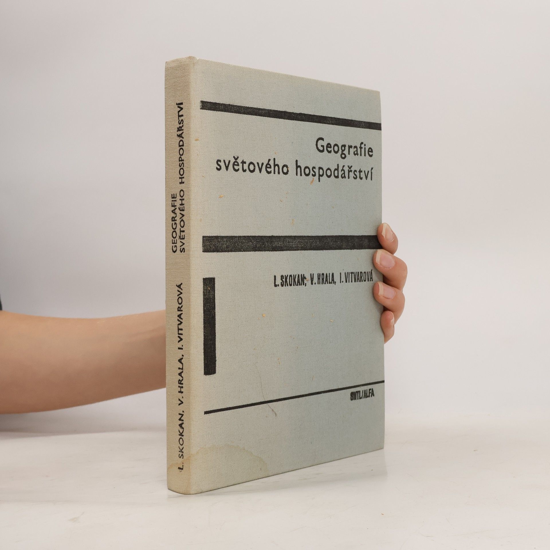 Collectif d'auteurs Geografie světového hospodářství