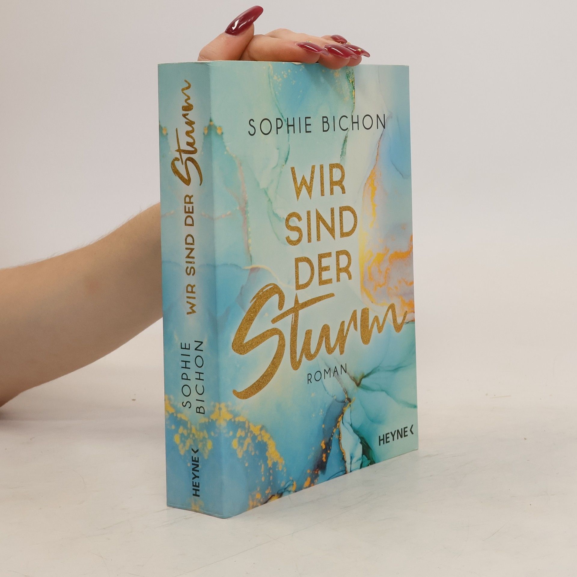 Sophie Bichon Wir sind der Sturm