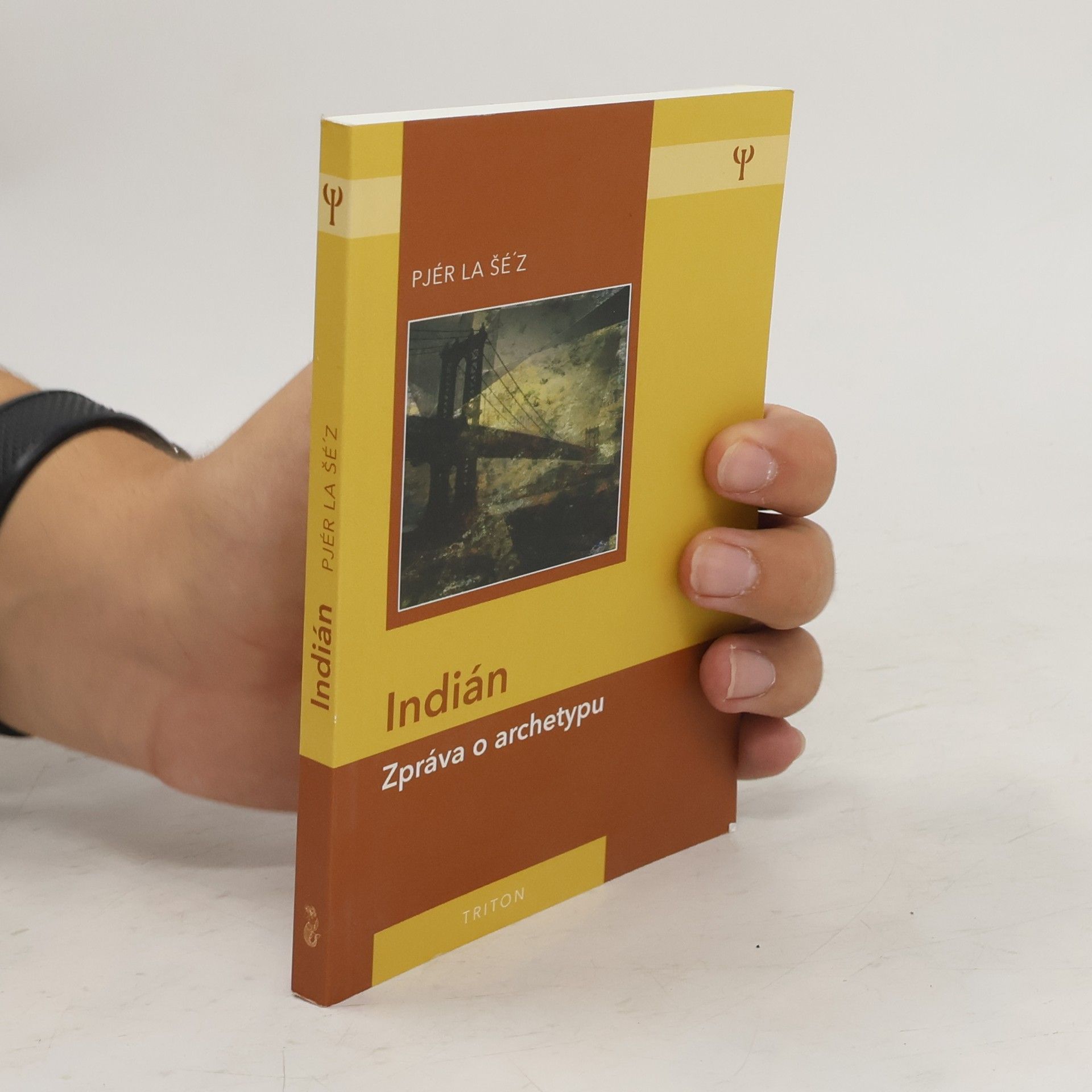 Pjér la Šéz Indián: Zpráva o archetypu