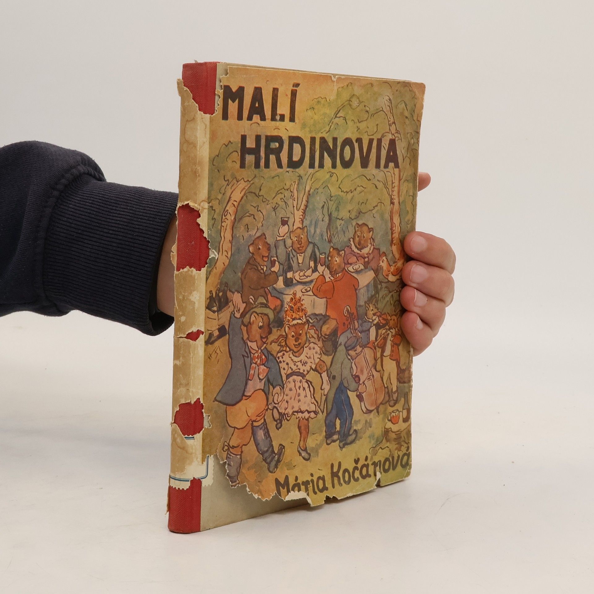 Mária Kočanová Malí hrdinovia