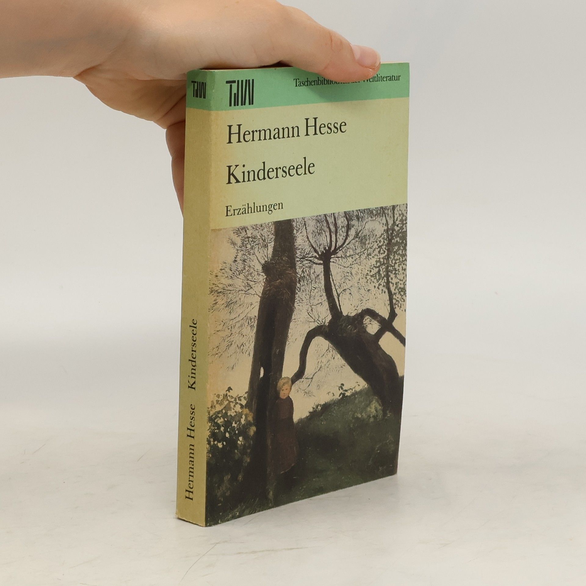 Hermann Hesse Kinderseele : Erzählungen