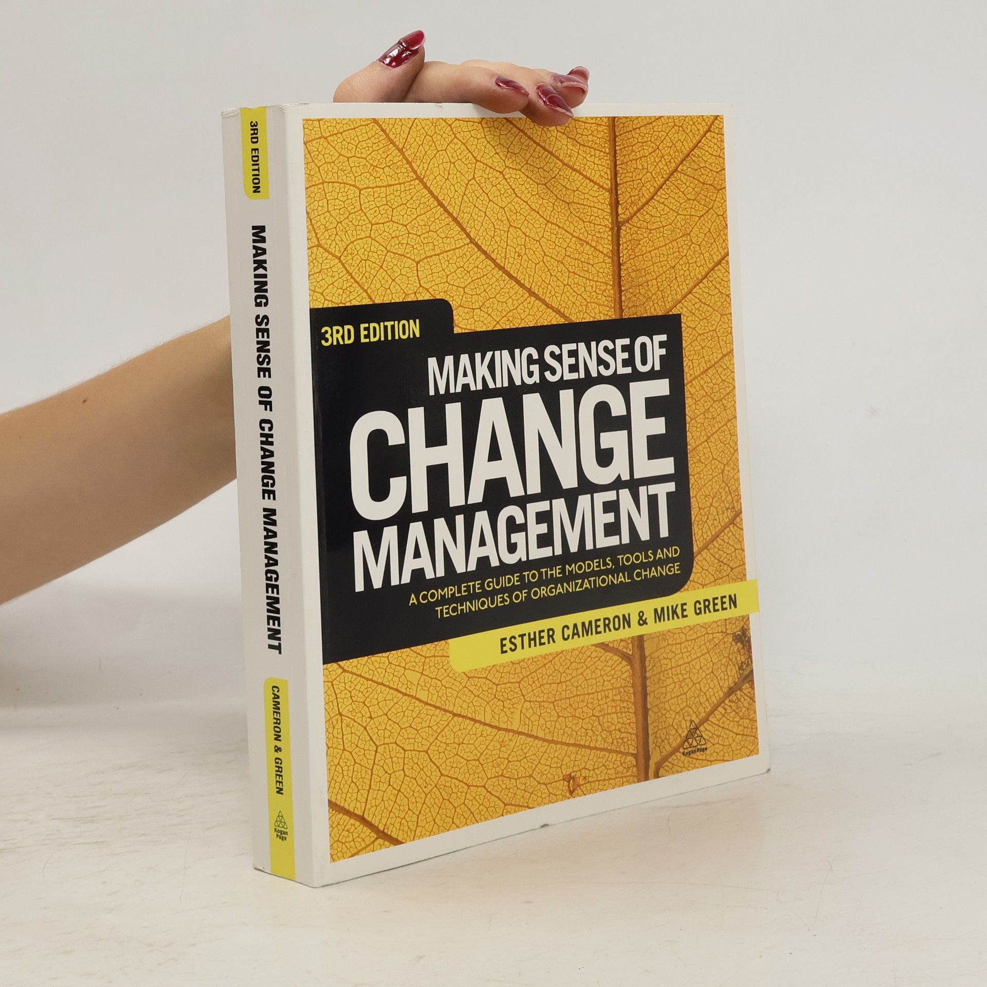 Esther Cameron Making Sense of Change Management