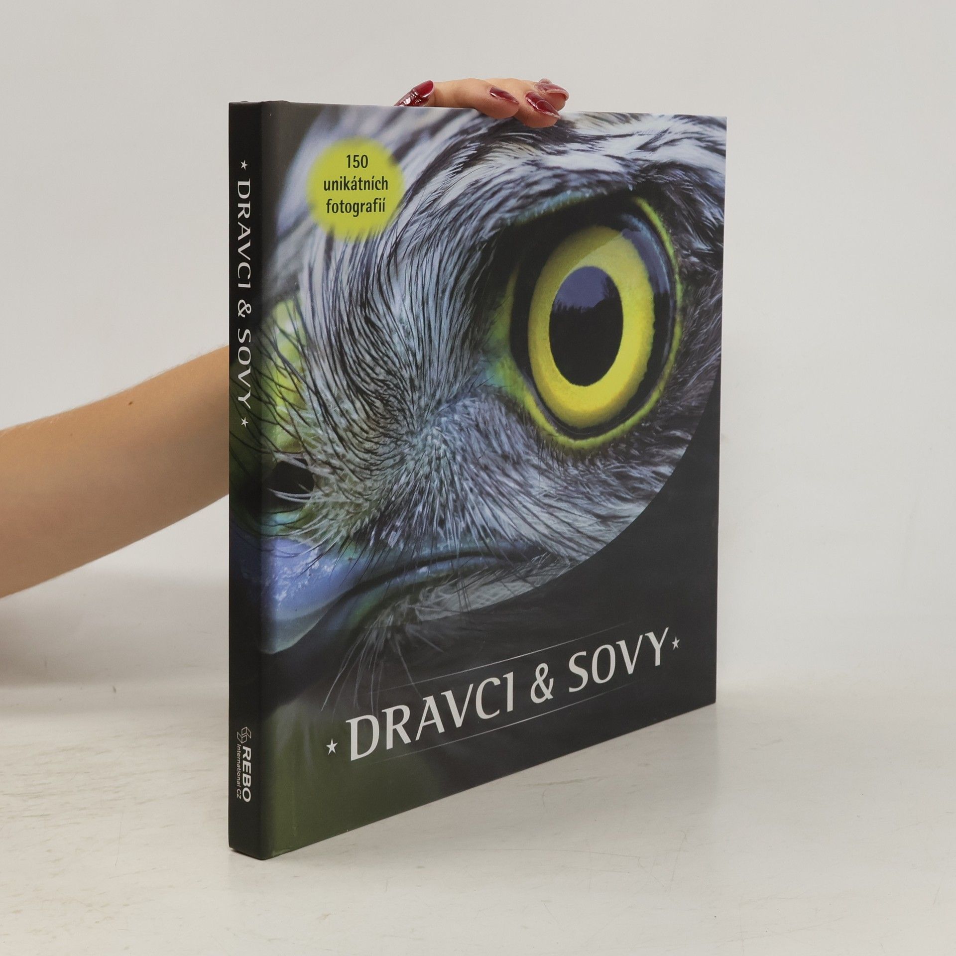 Jaap Schelvis Dravci & Sovy