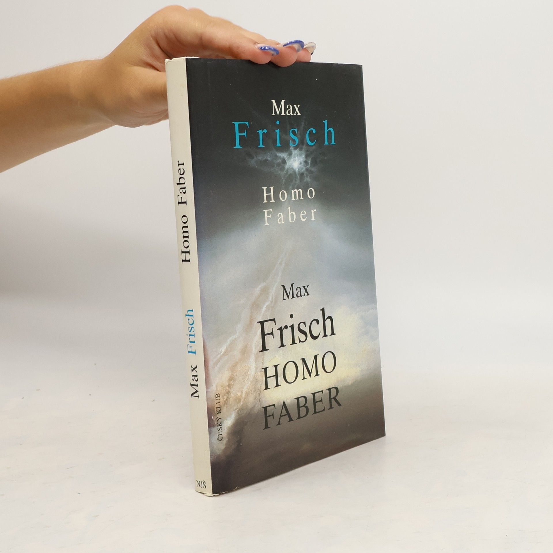 Max Frisch Homo Faber