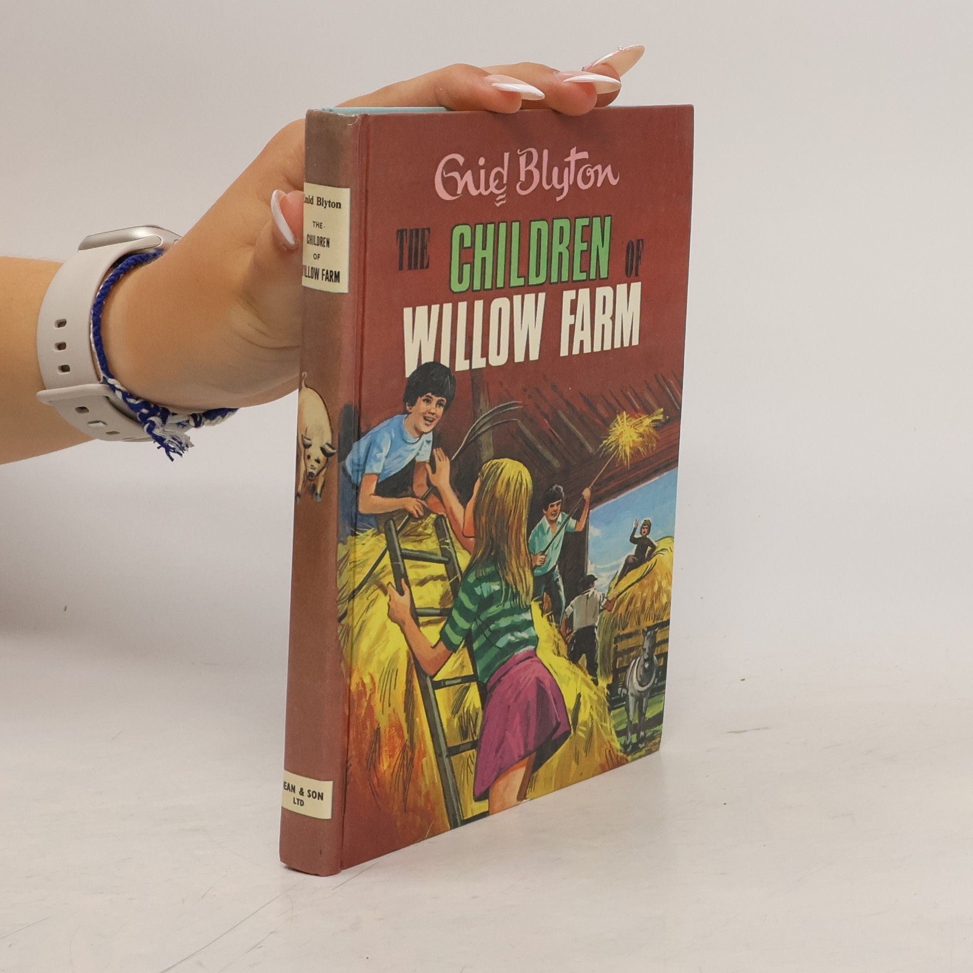 Enid Blyton The Children of Willow Farm