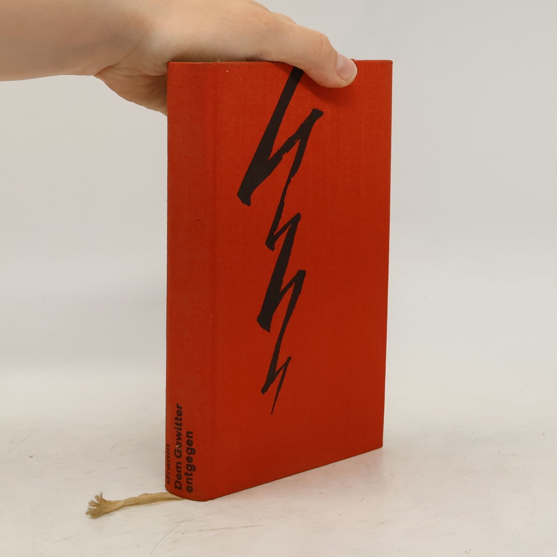 Dem Gewitter entgegen