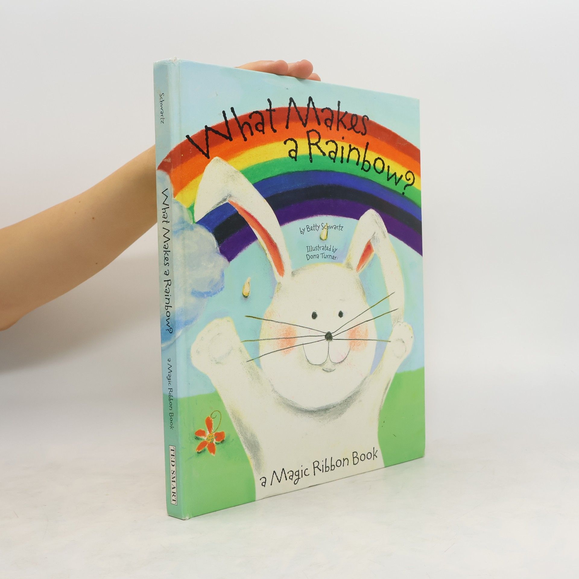 Betty Ann Schwartz What Makes a Rainbow?