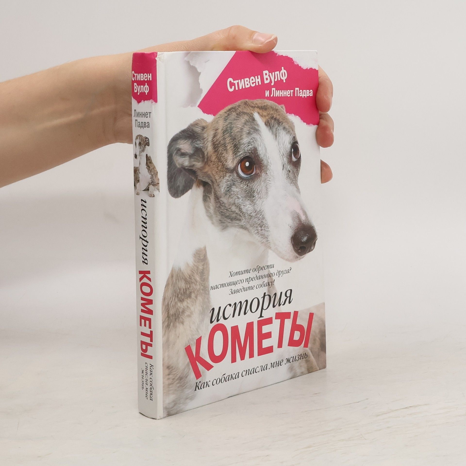 Wolf D Steven История кометы. Istoriya komety