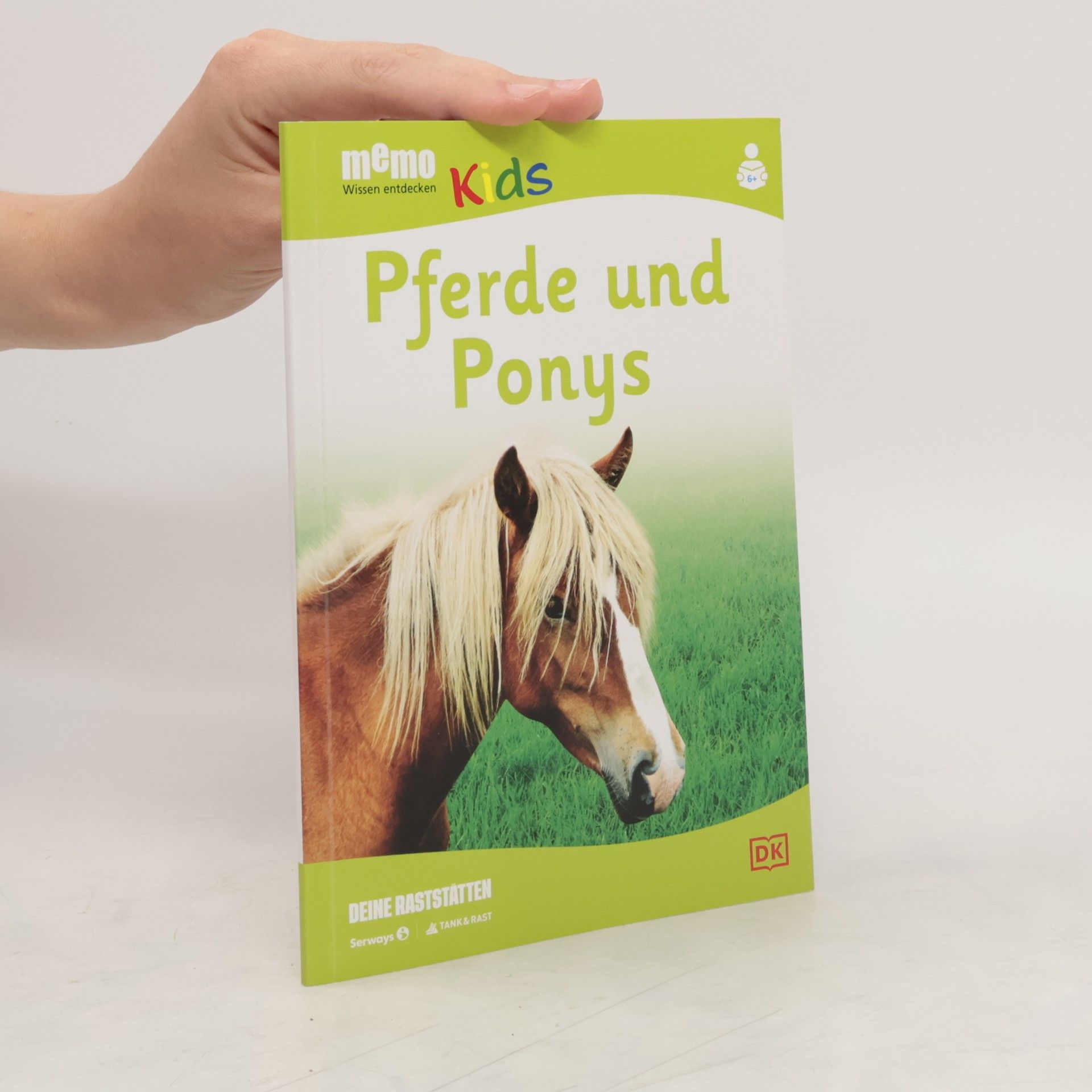 Caroline Stamps Pferde und Ponys