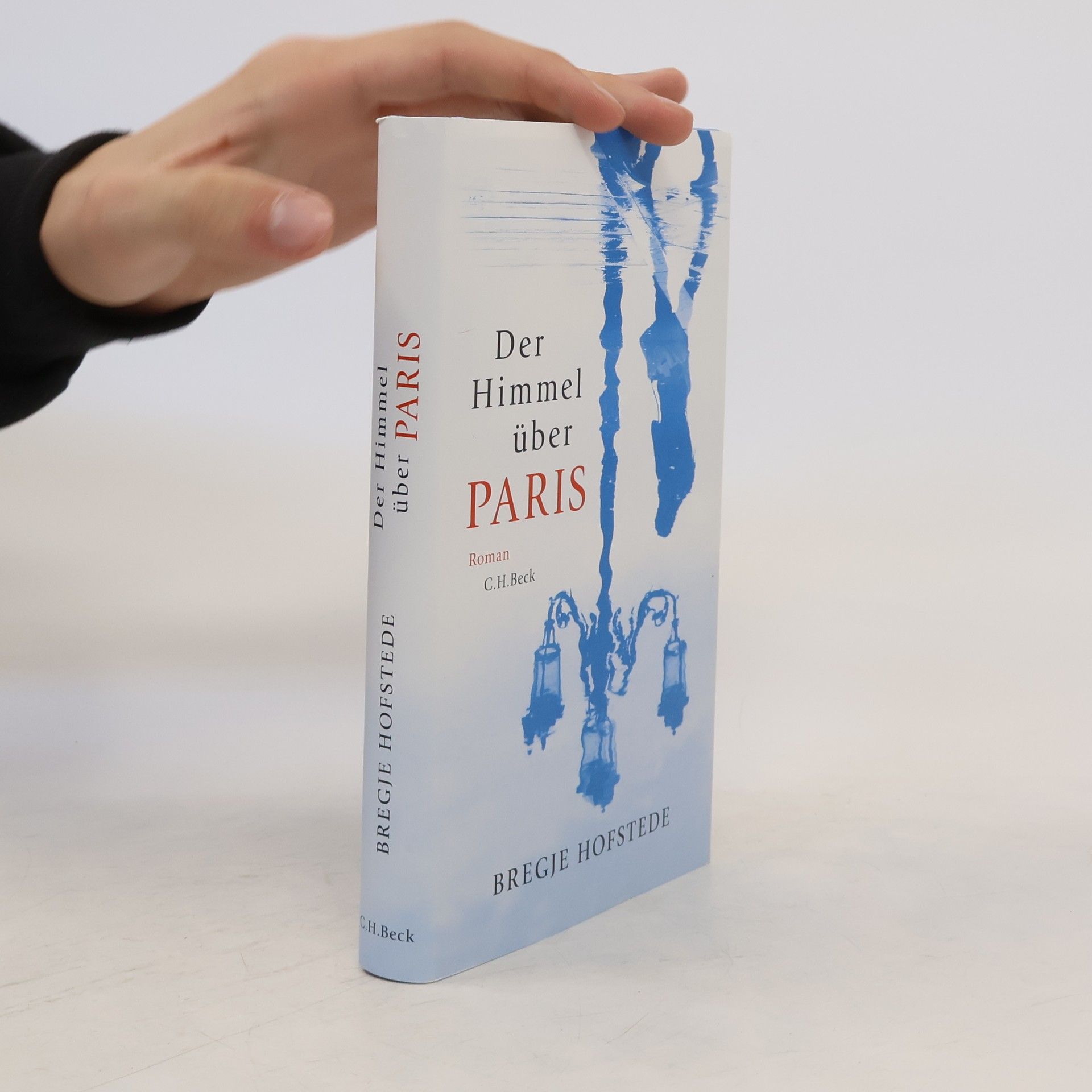 Bregje Hofstede Der Himmel über Paris
