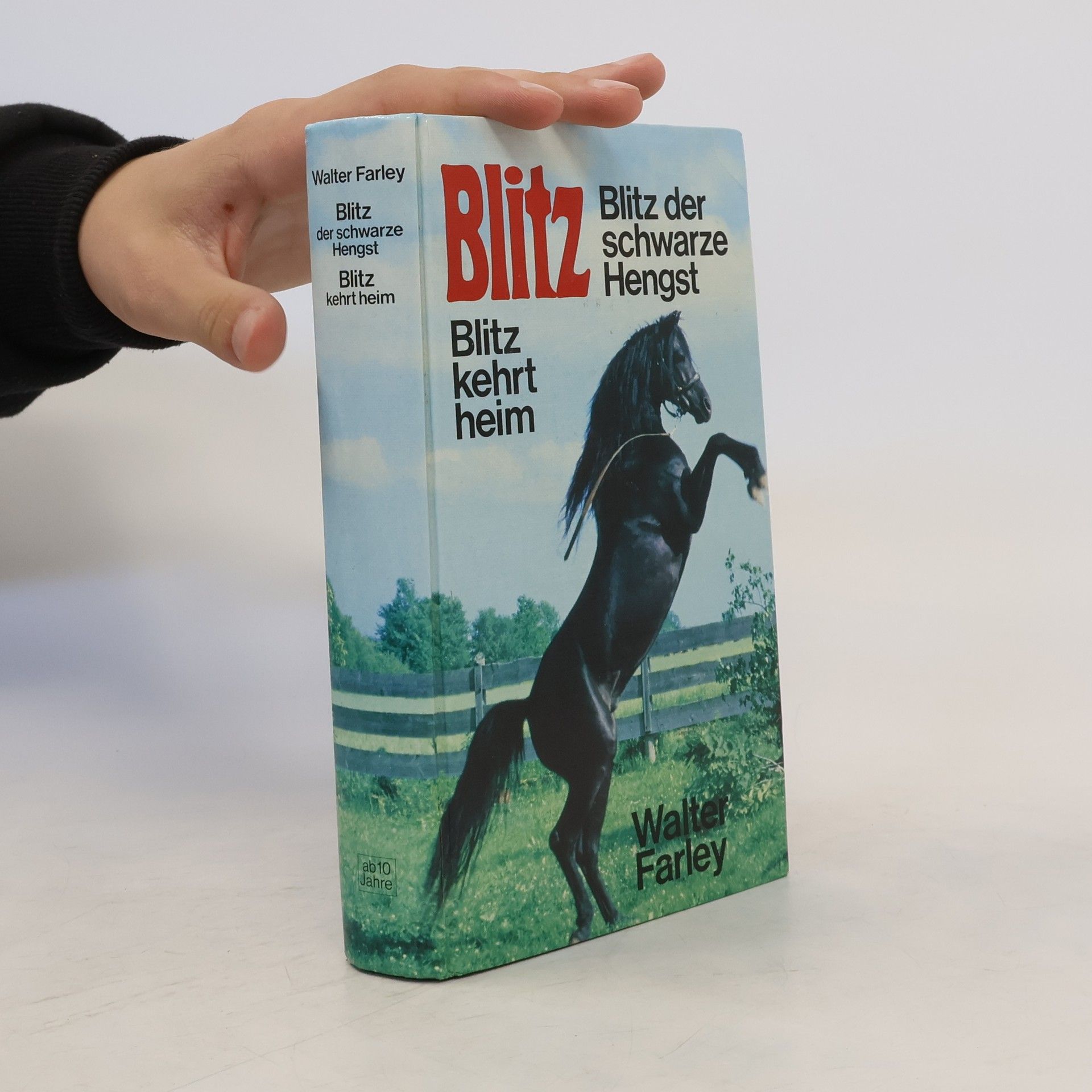 Walter Farley Blitz der schwarze Hengst; Blitz kehrt heim