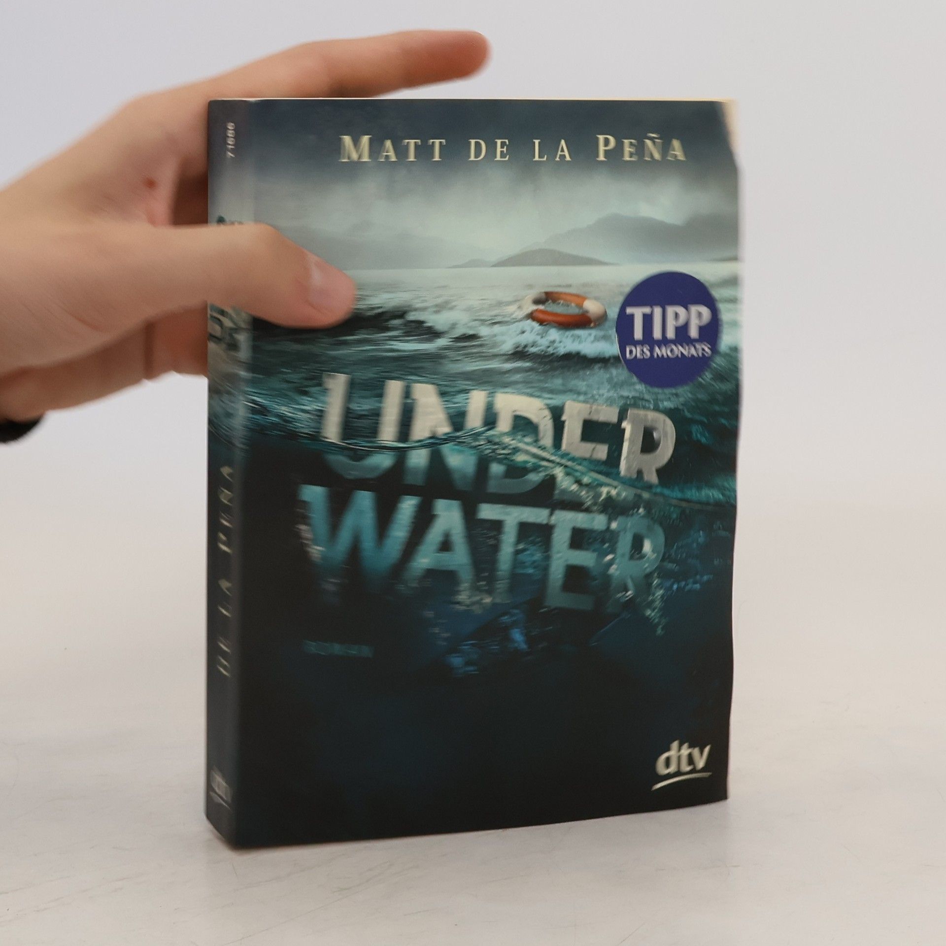 Matt de la Peňa Under Water