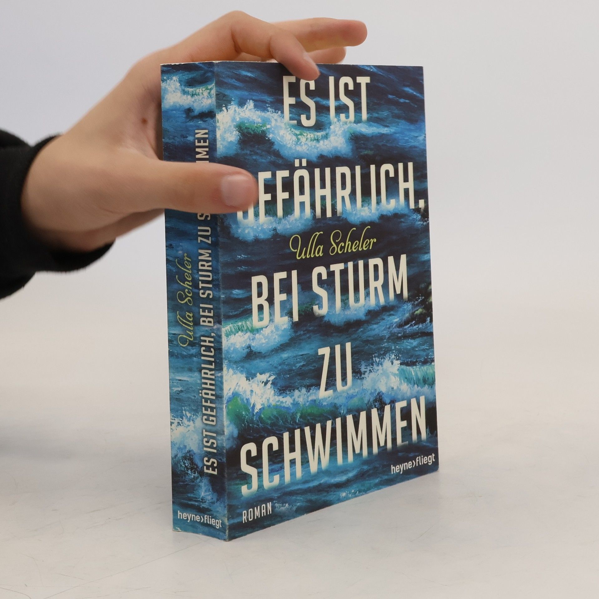Ulla Scheler Es ist gefährlich, bei Sturm zu schwimmen