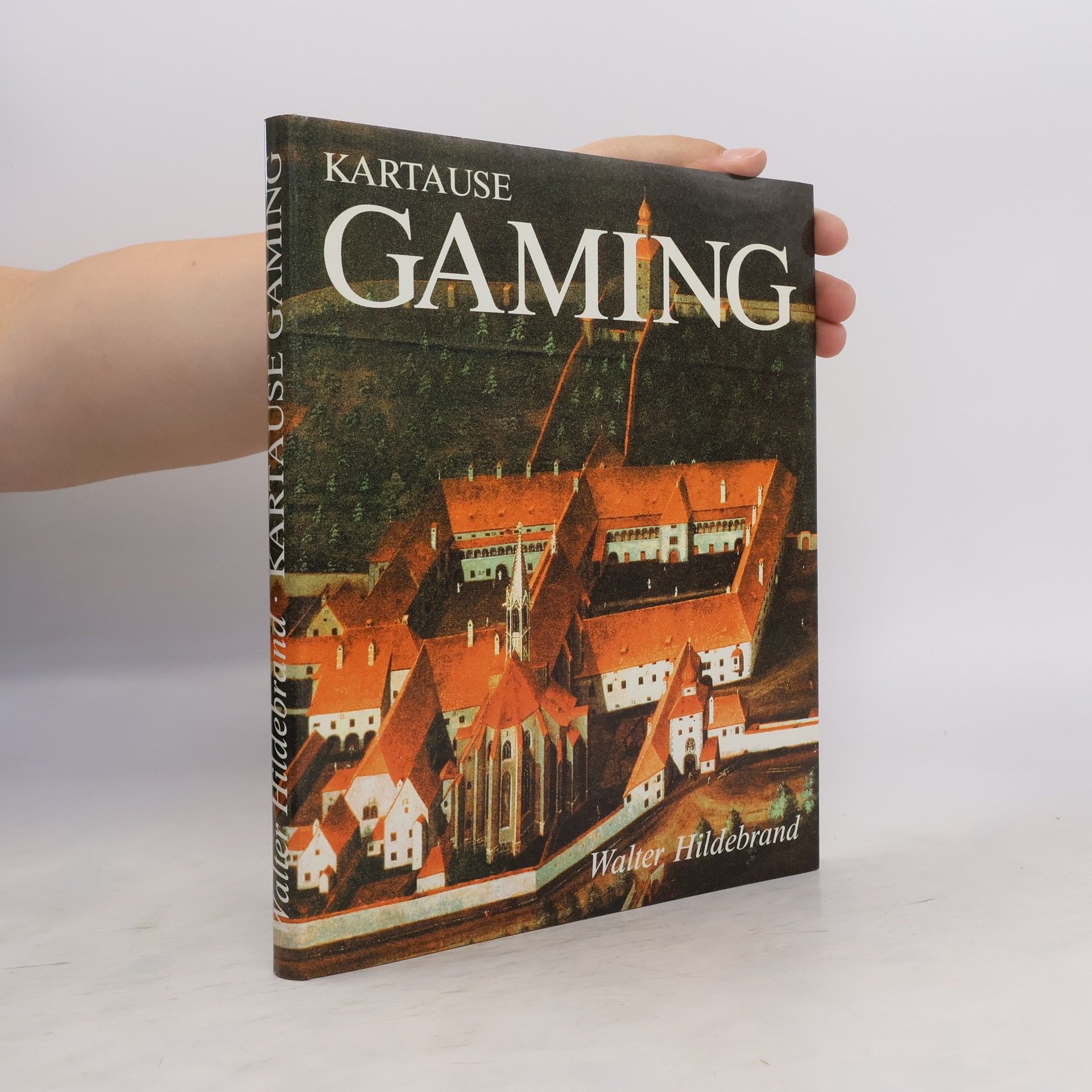 Walter Hildebrand Kartause Gaming : die umweltfreundliche gotische Stadt