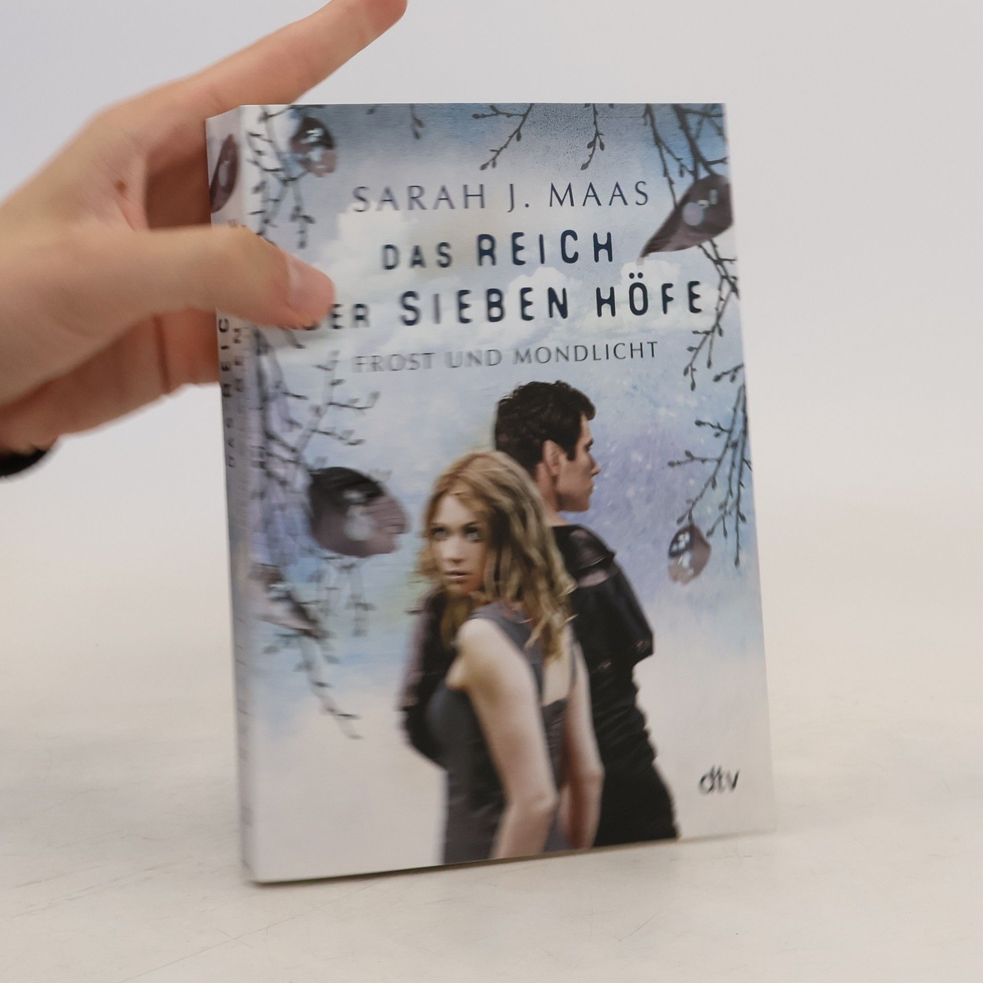 Sarah J. Maas Das Reich der Sieben Höfe: Frost und Mondlicht