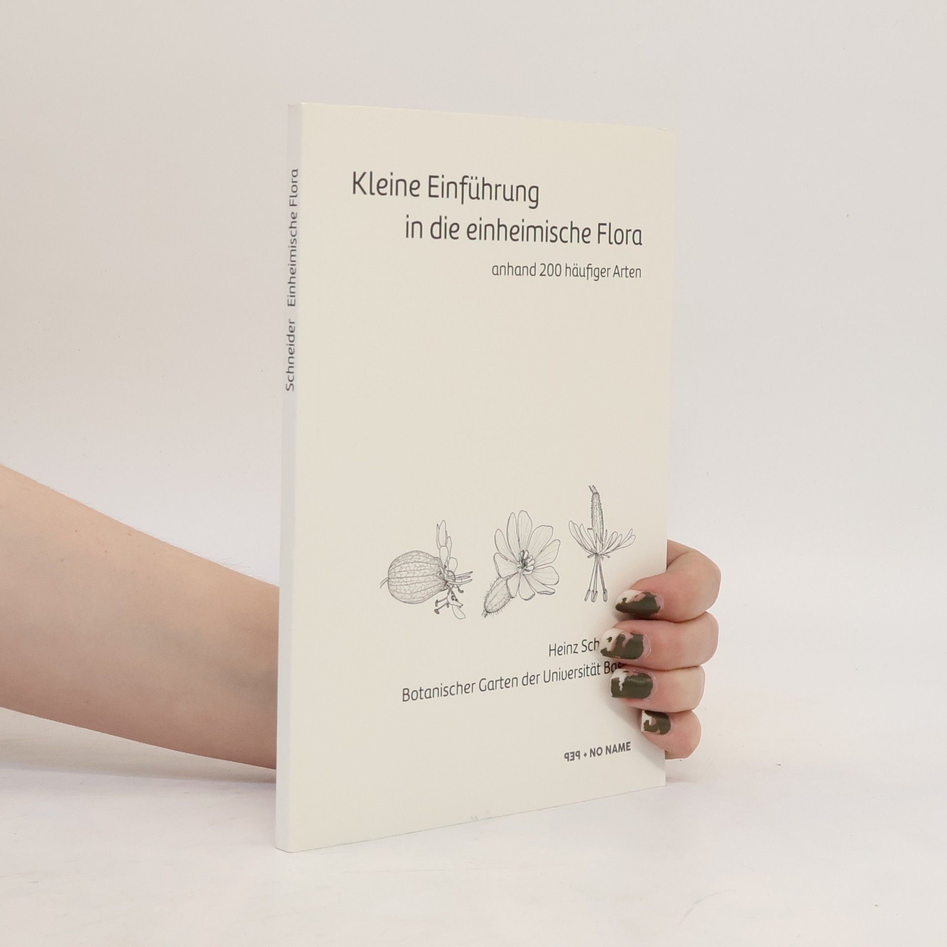 Heinz Schneider Kleine Einführung in die einheimische Flora anhand 200 häufiger Arten