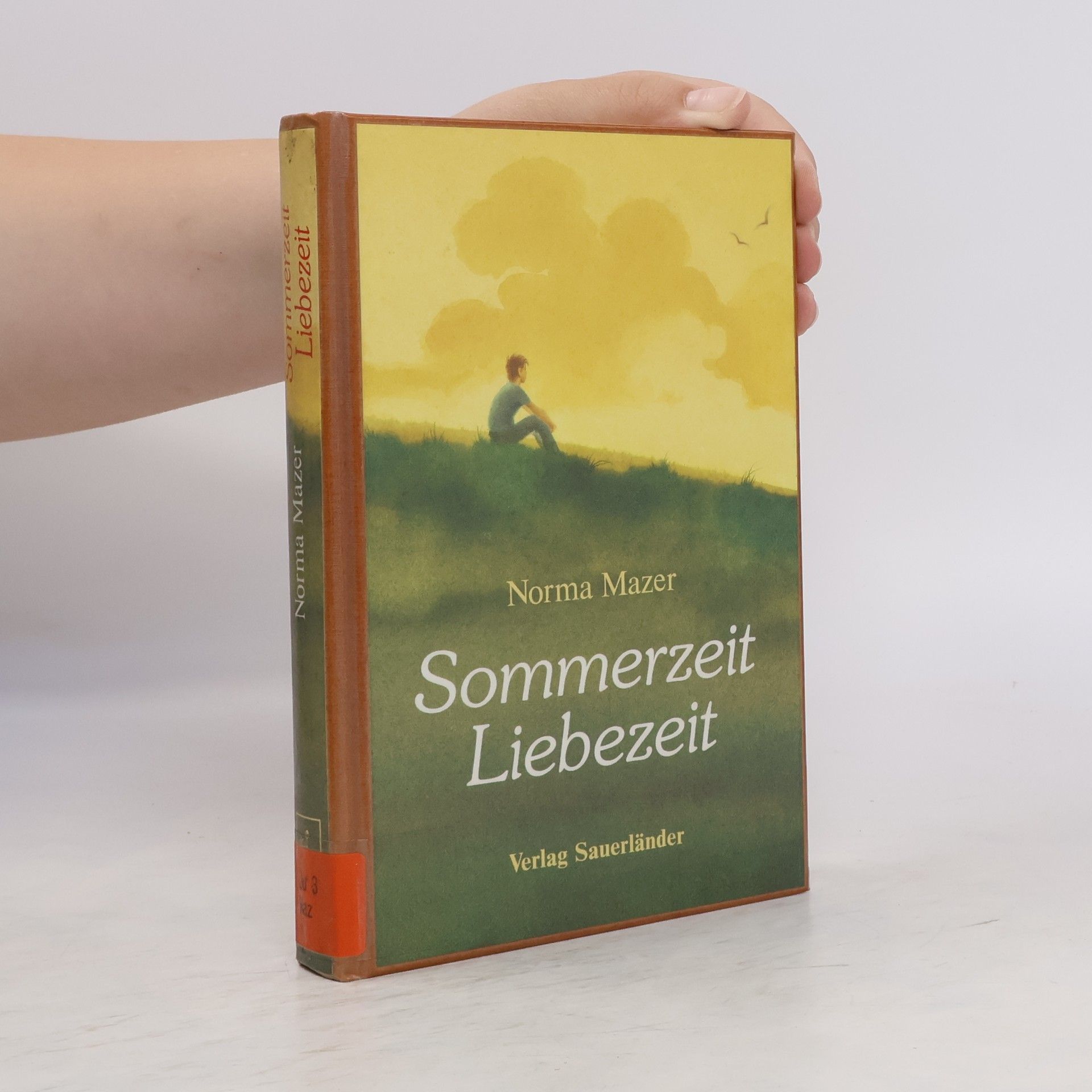 Norma Fox Mazer Sommerzeit, Liebezeit