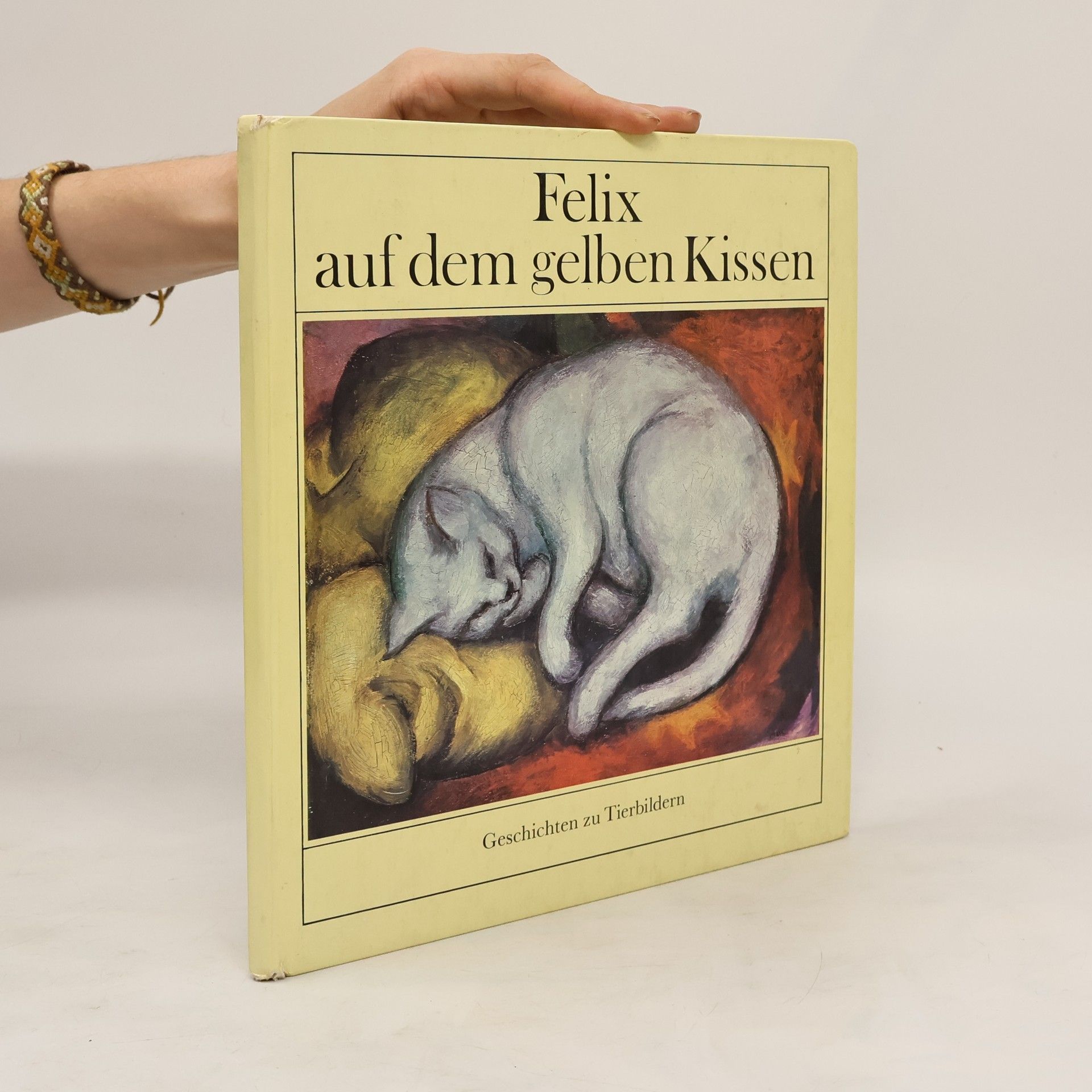 Autorenkollektiv Felix auf dem gelben Kissen