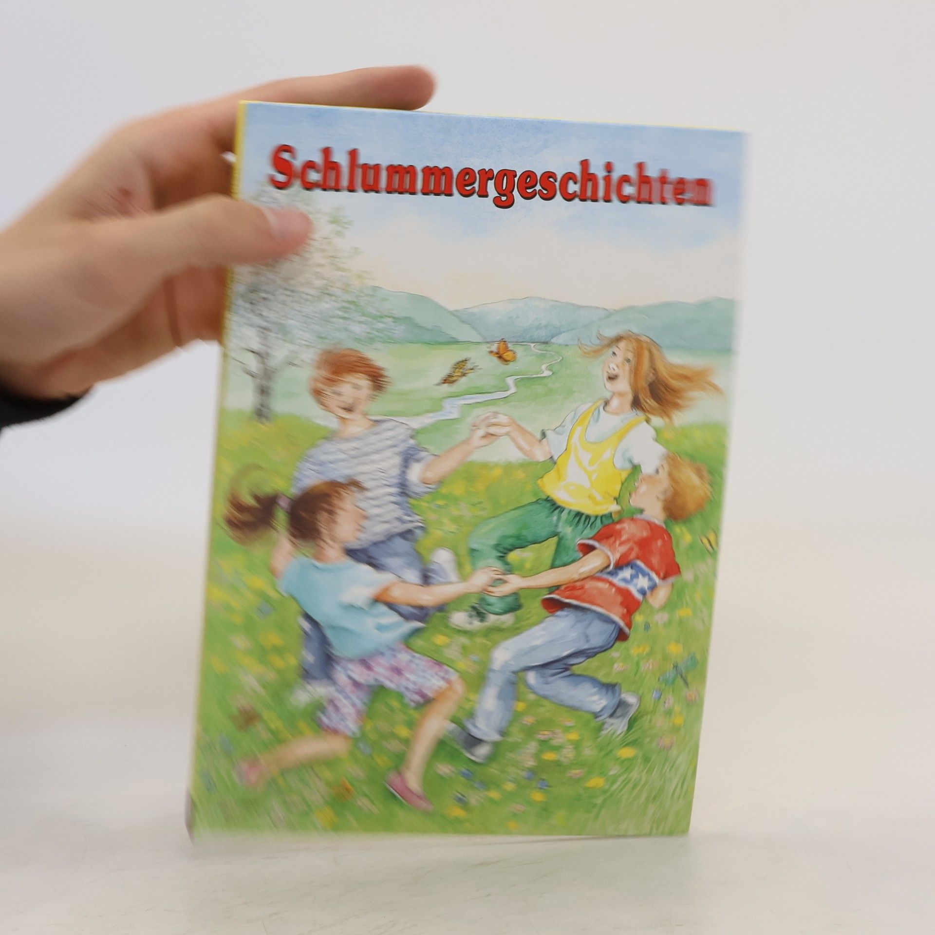 Kolektív autorov Schlummergeschichten
