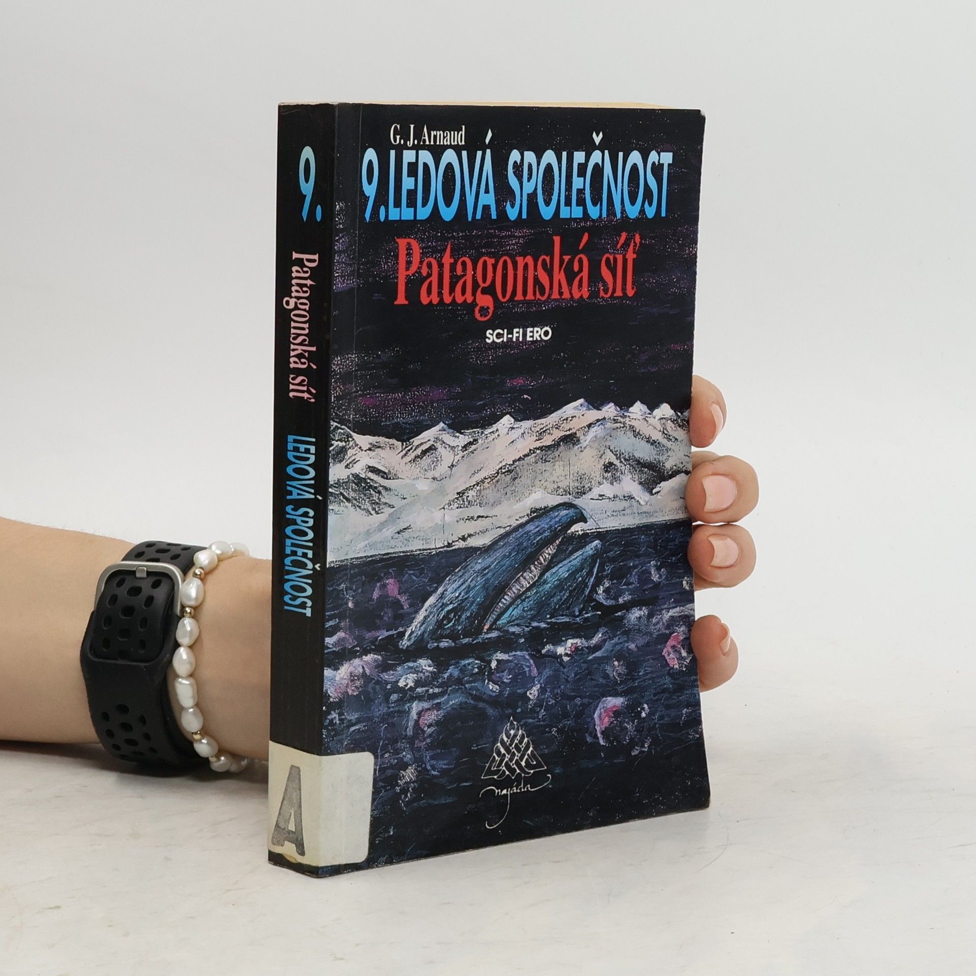 Georges Jean Arnaud Ledová společnost. 9, Patagonská síť