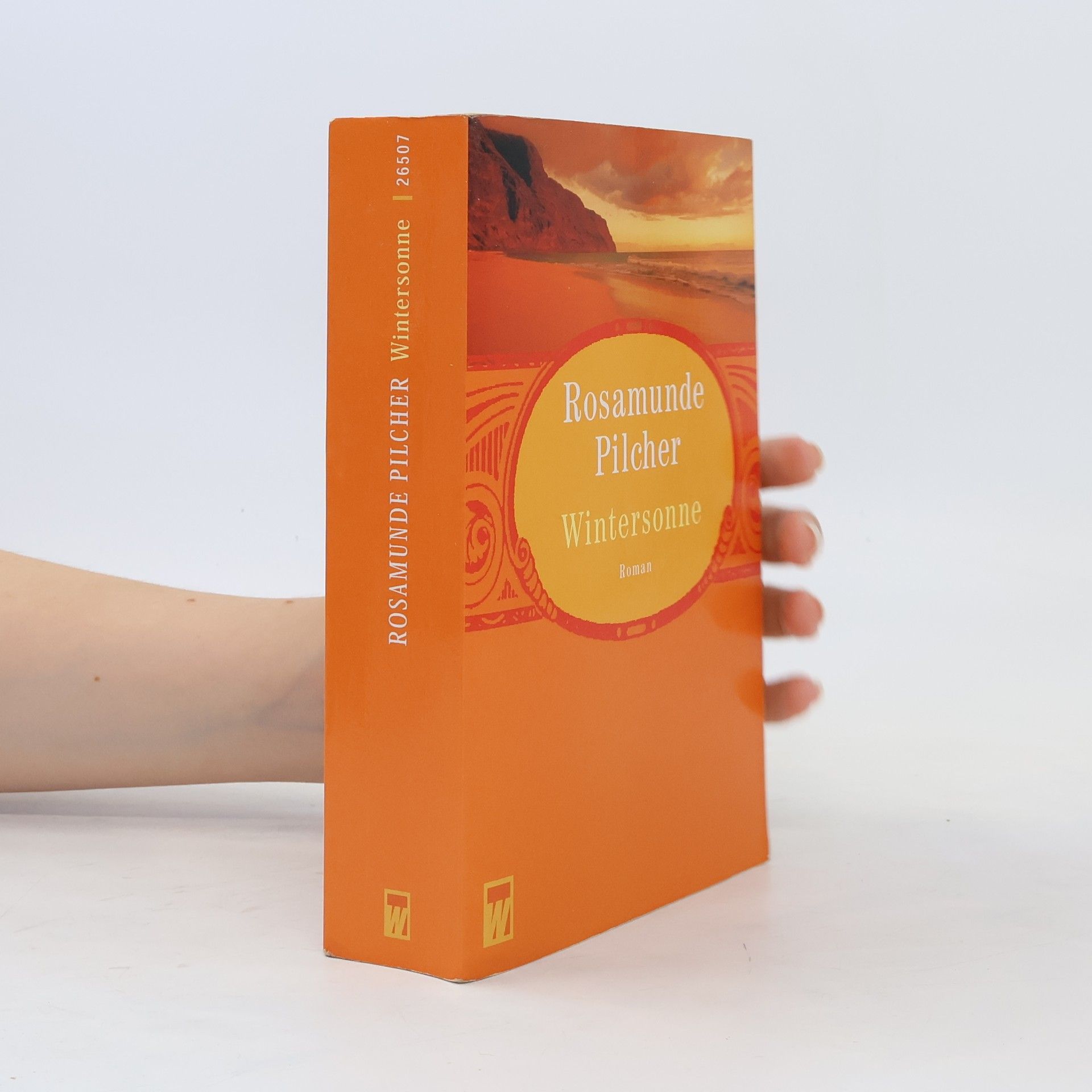 Rosamunde Pilcher Wintersonne