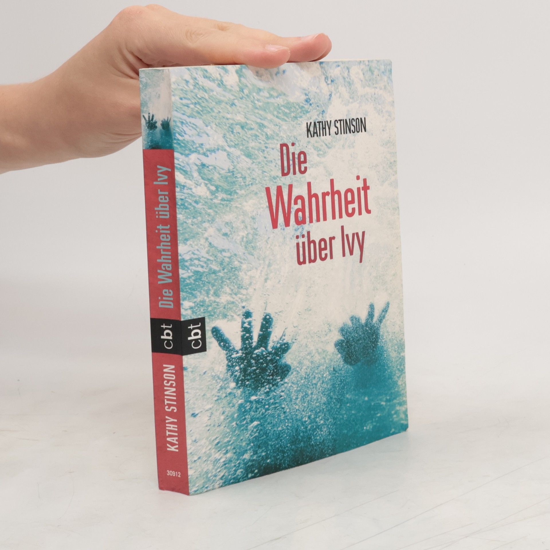 Kathy Stinson Die Wahrheit über Ivy