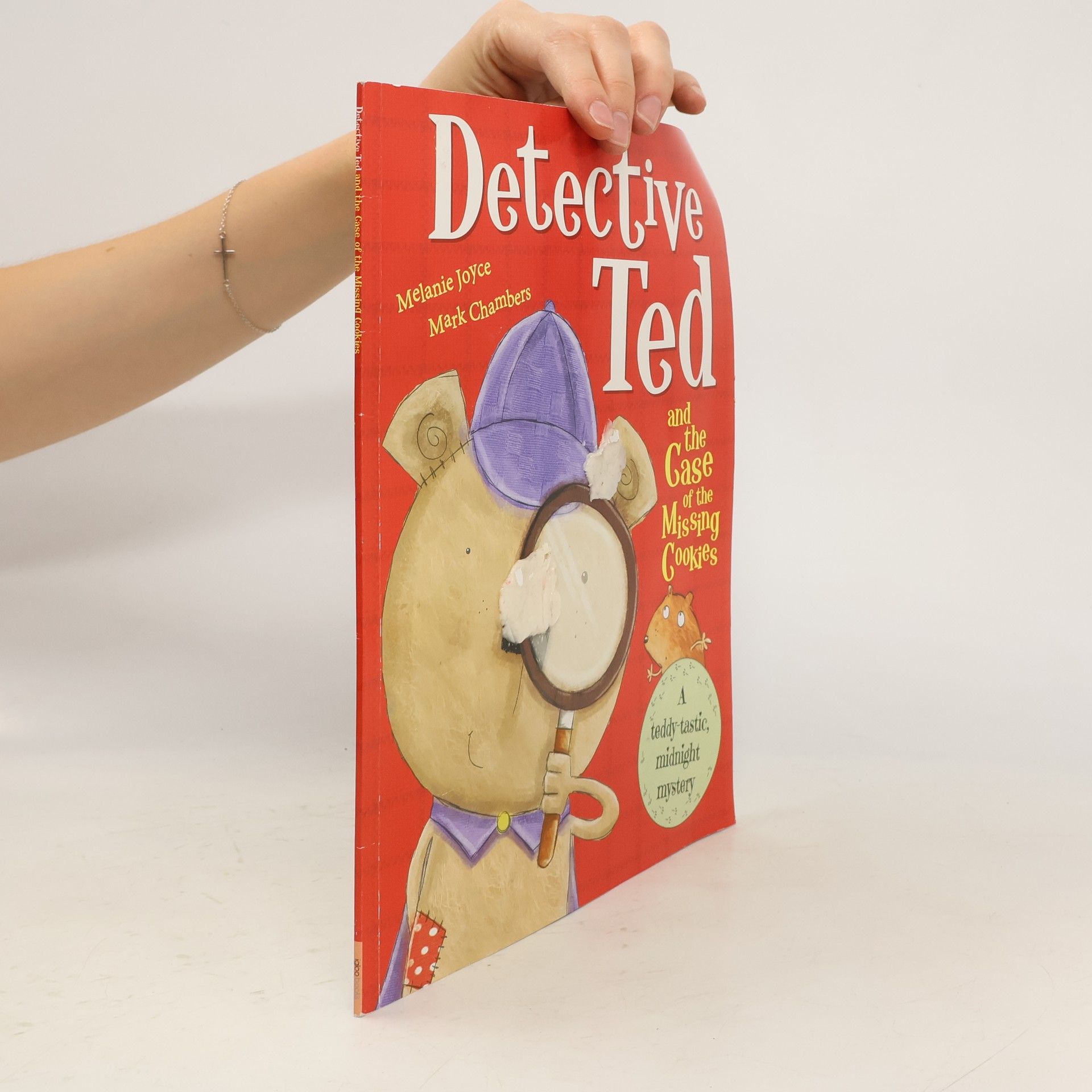 Bonnier Books Ltd Detective Ted