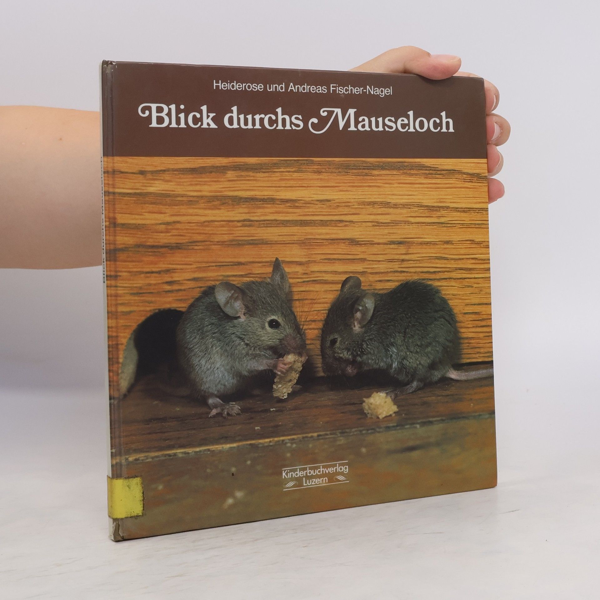 Autores varios Blick durchs Mauseloch