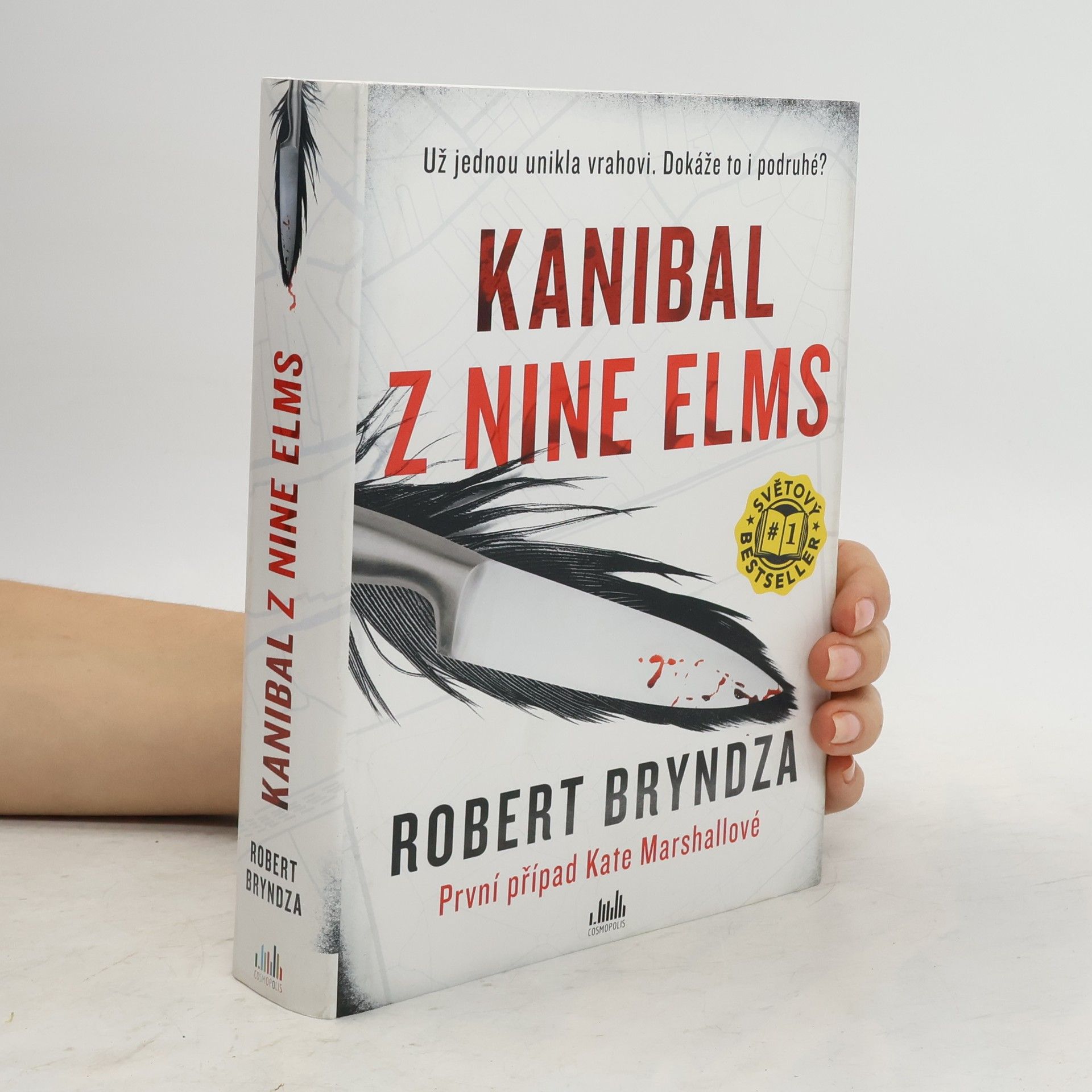 Robert Bryndza Kanibal z Nine Elms