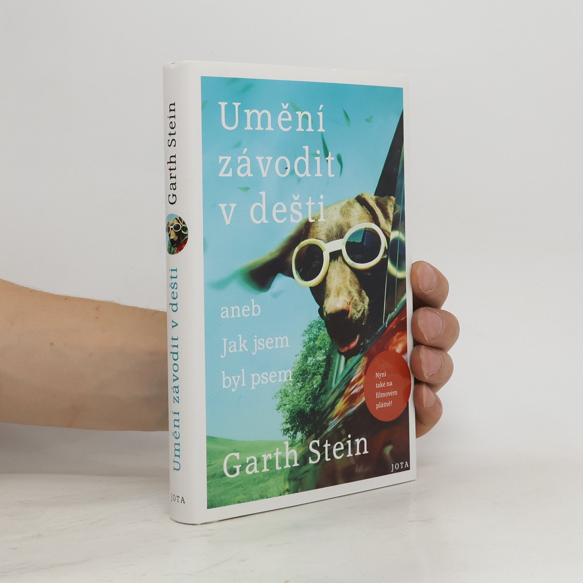 Garth Stein Umění závodit v dešti