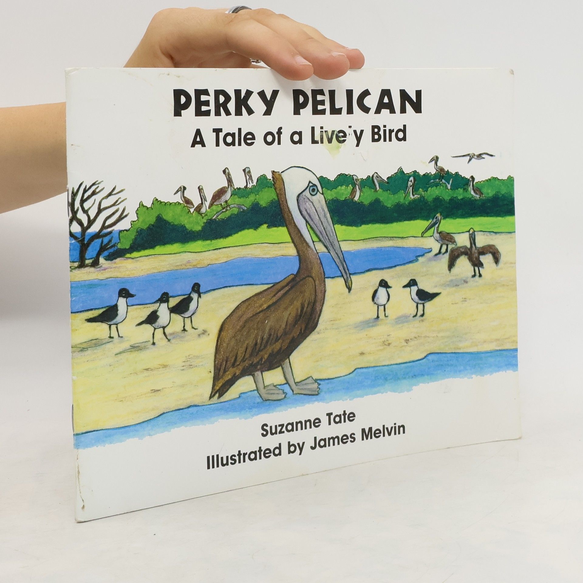 Suzanne Tate Perky Pelican