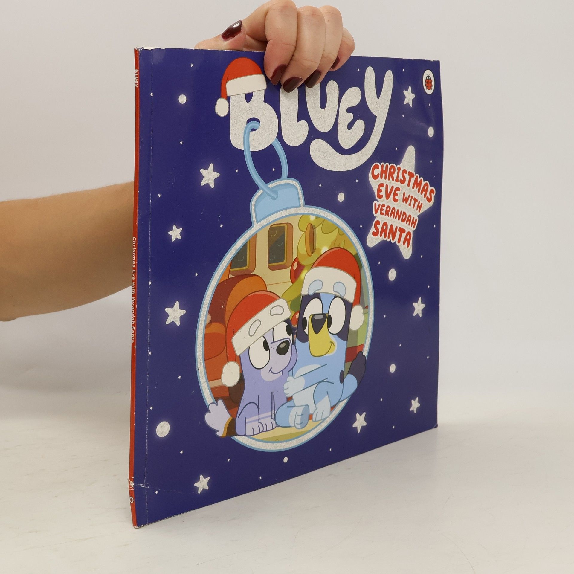 Collectif d'auteurs Bluey. Christmas Eve with Verandah Santa