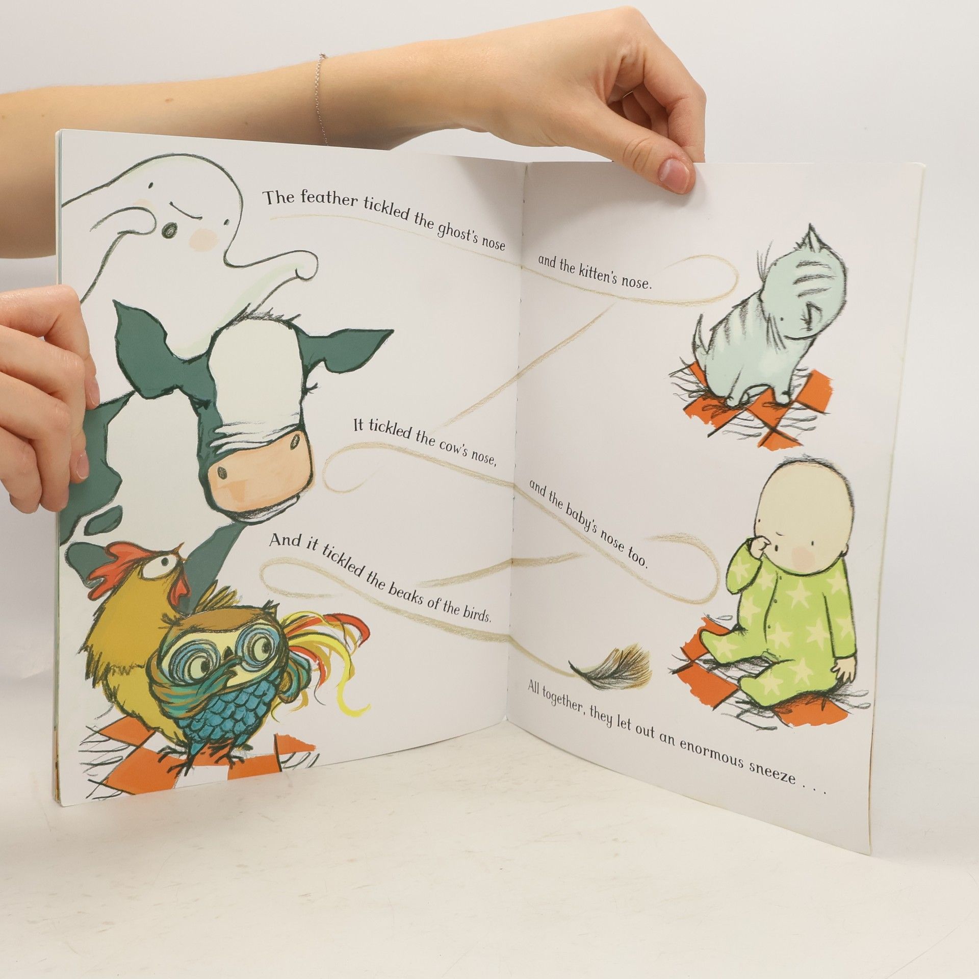 Julia Donaldson Wake Up Do, Lydia Lou!