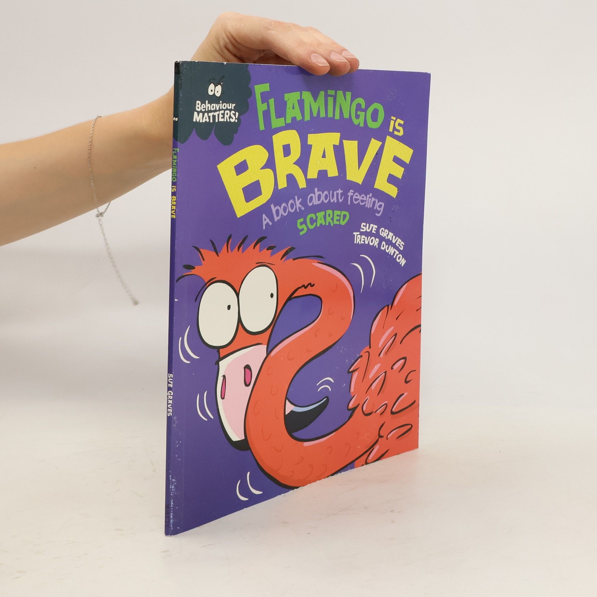 Sue Graves Flamingo is Brave
