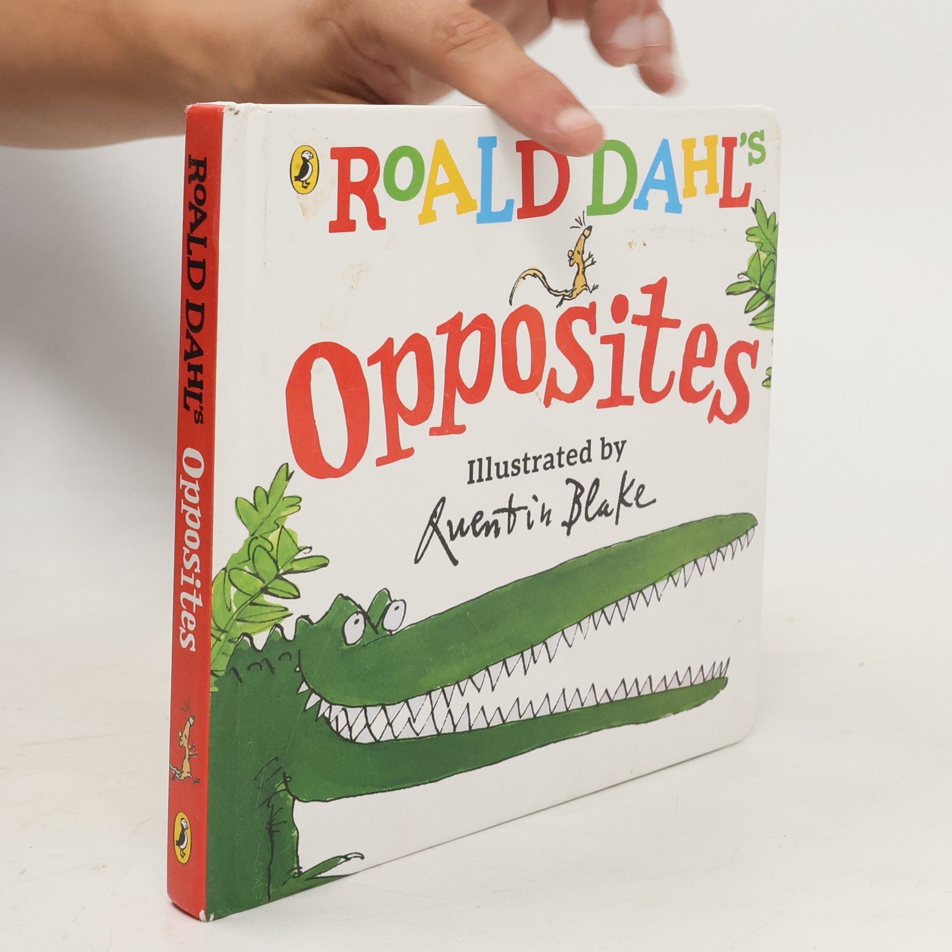Roald Dahl Opposites