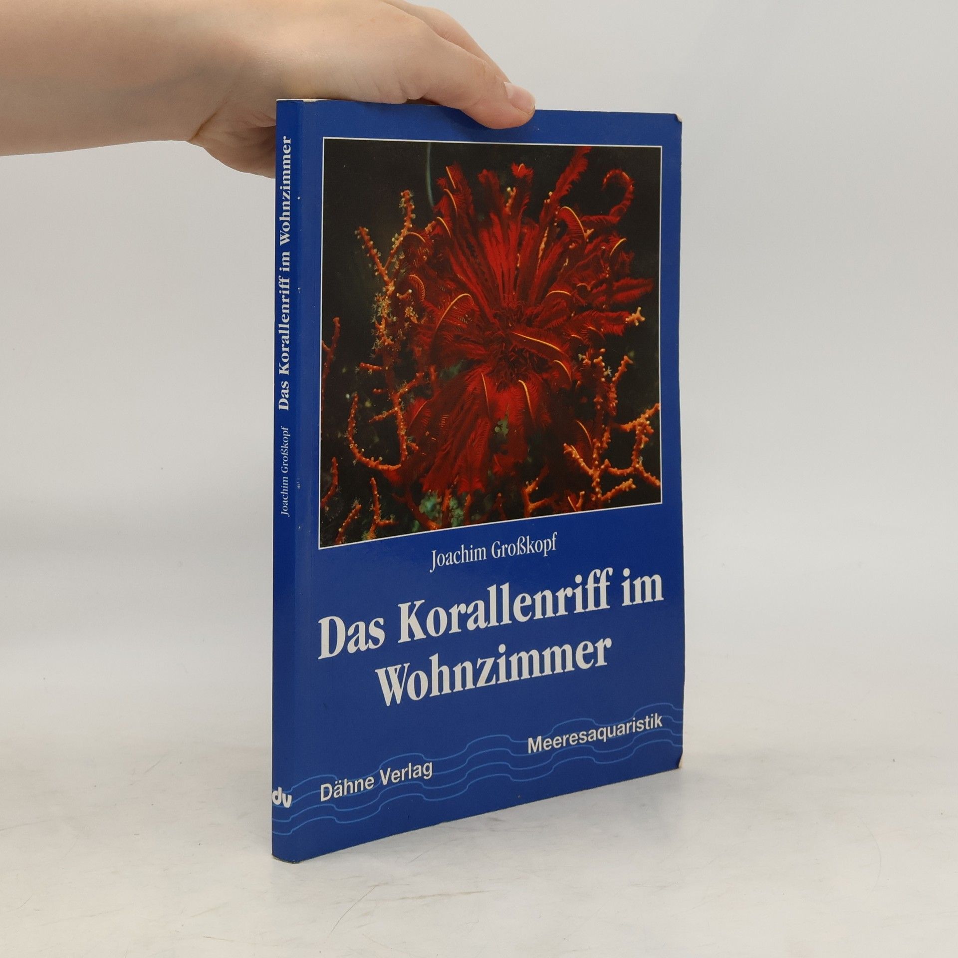 Joachim Großkopf Das Korallenriff im Wohnzimmer