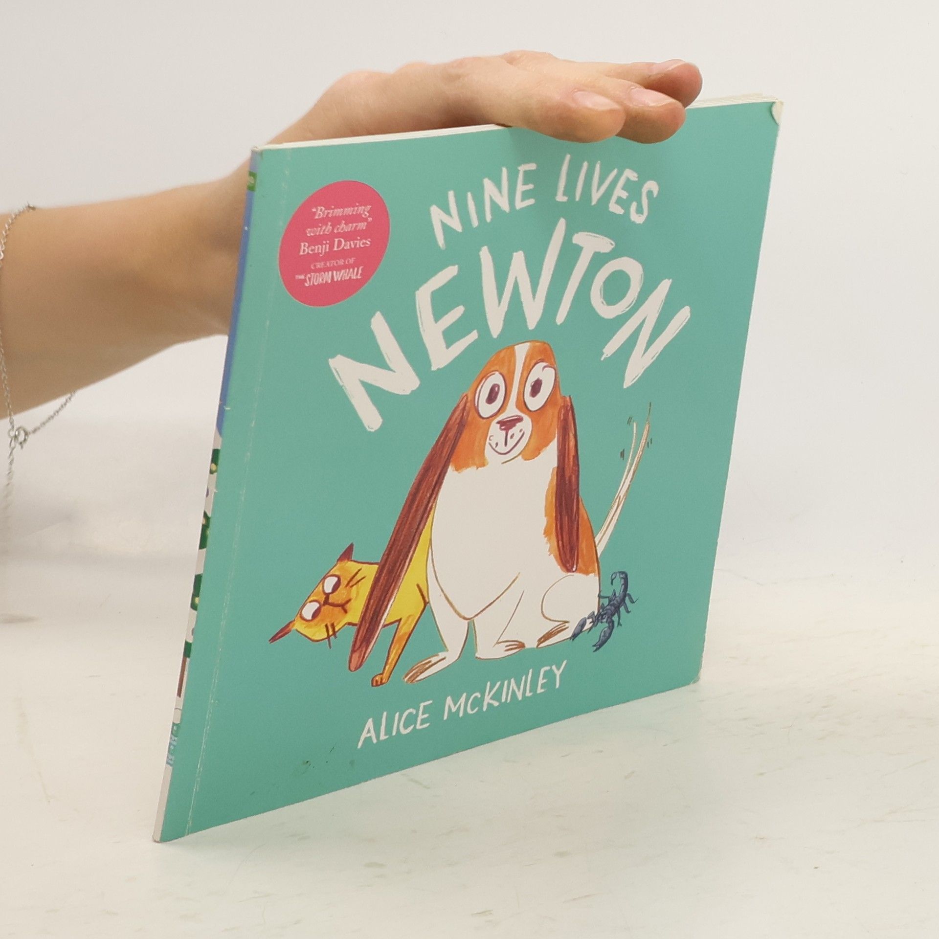 Alice McKinley Nine Lives Newton