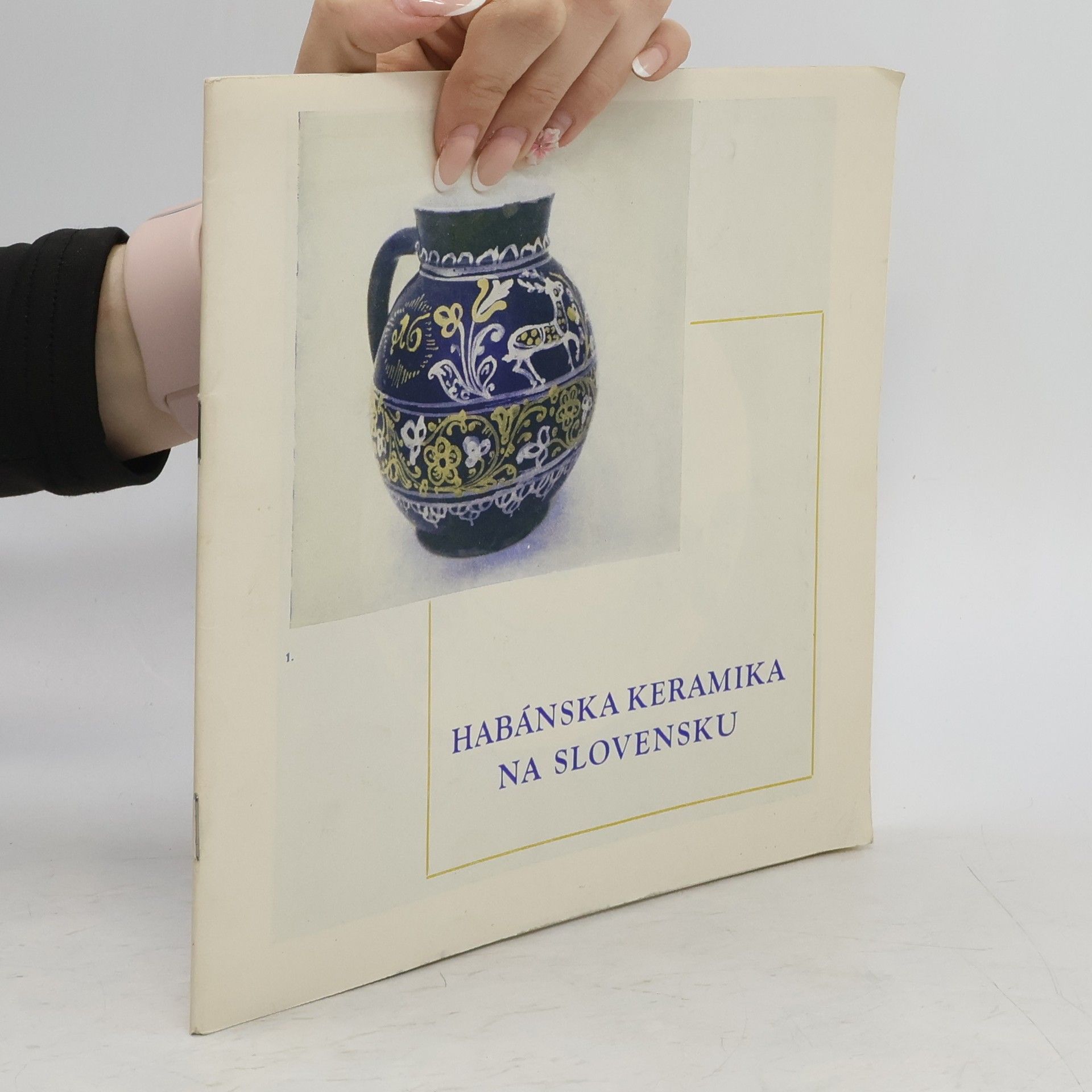 Autorenkollektiv Habánska keramika na Slovensku