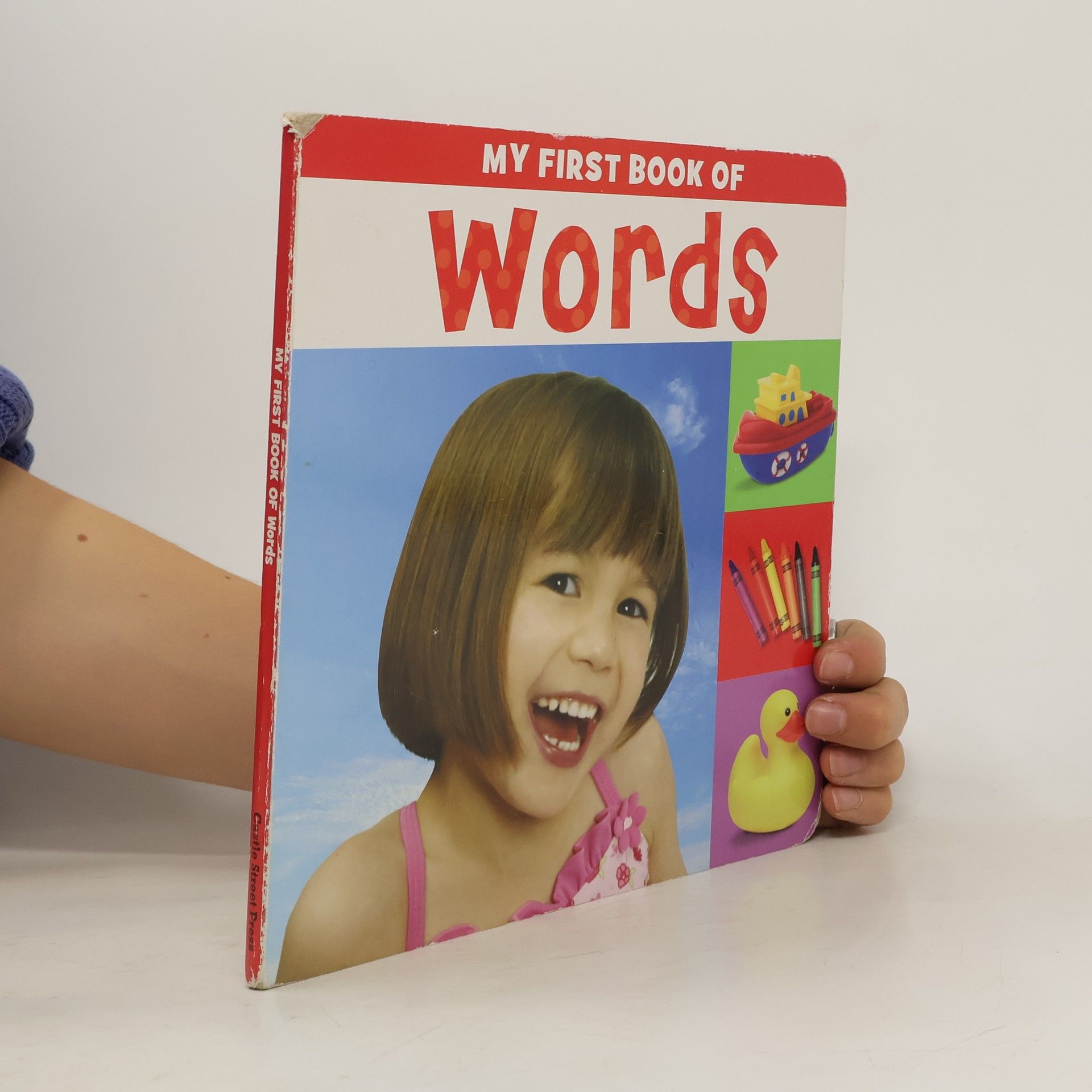 Collectif d'auteurs My First Book of Words