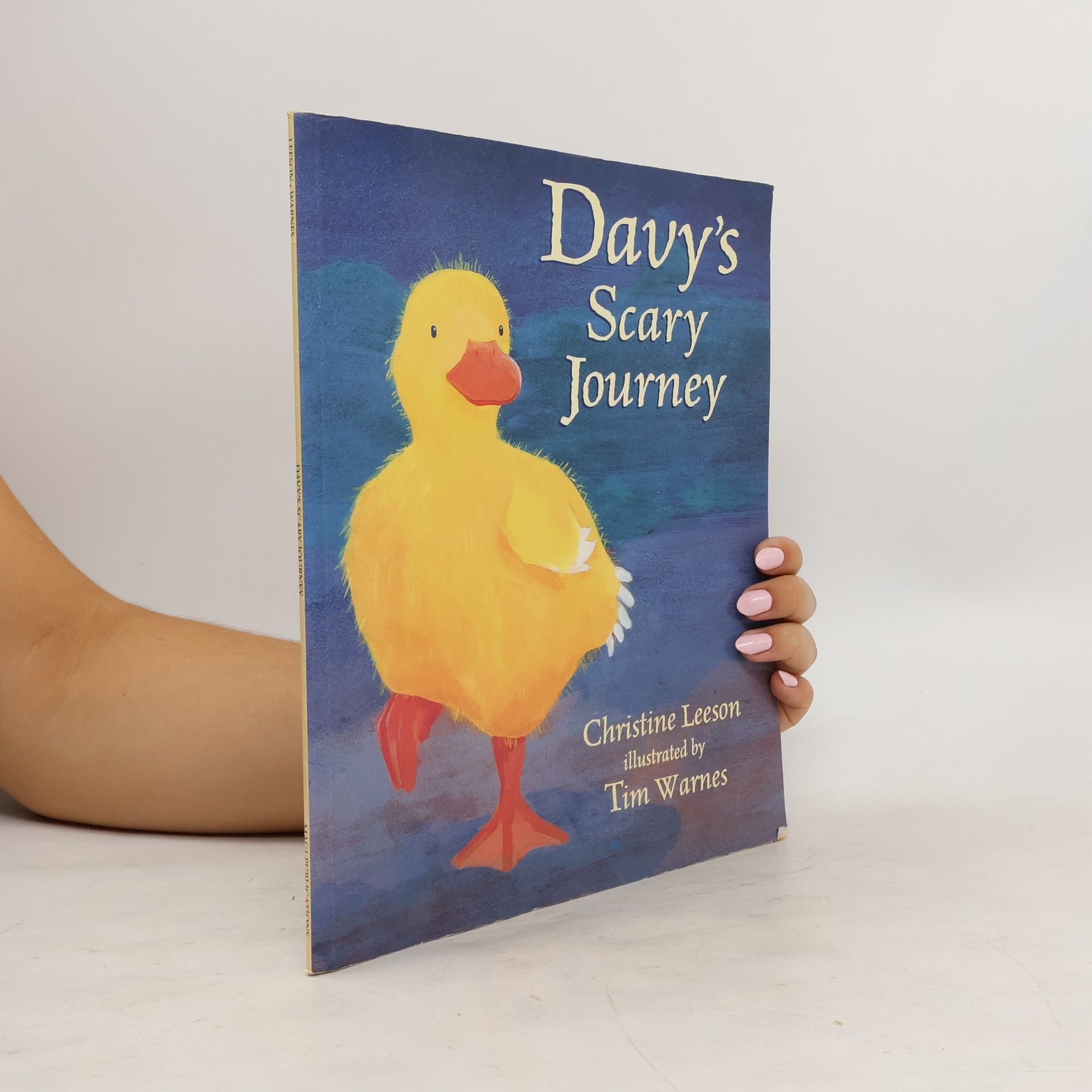 Christine Leeson Davy's Scary Journey