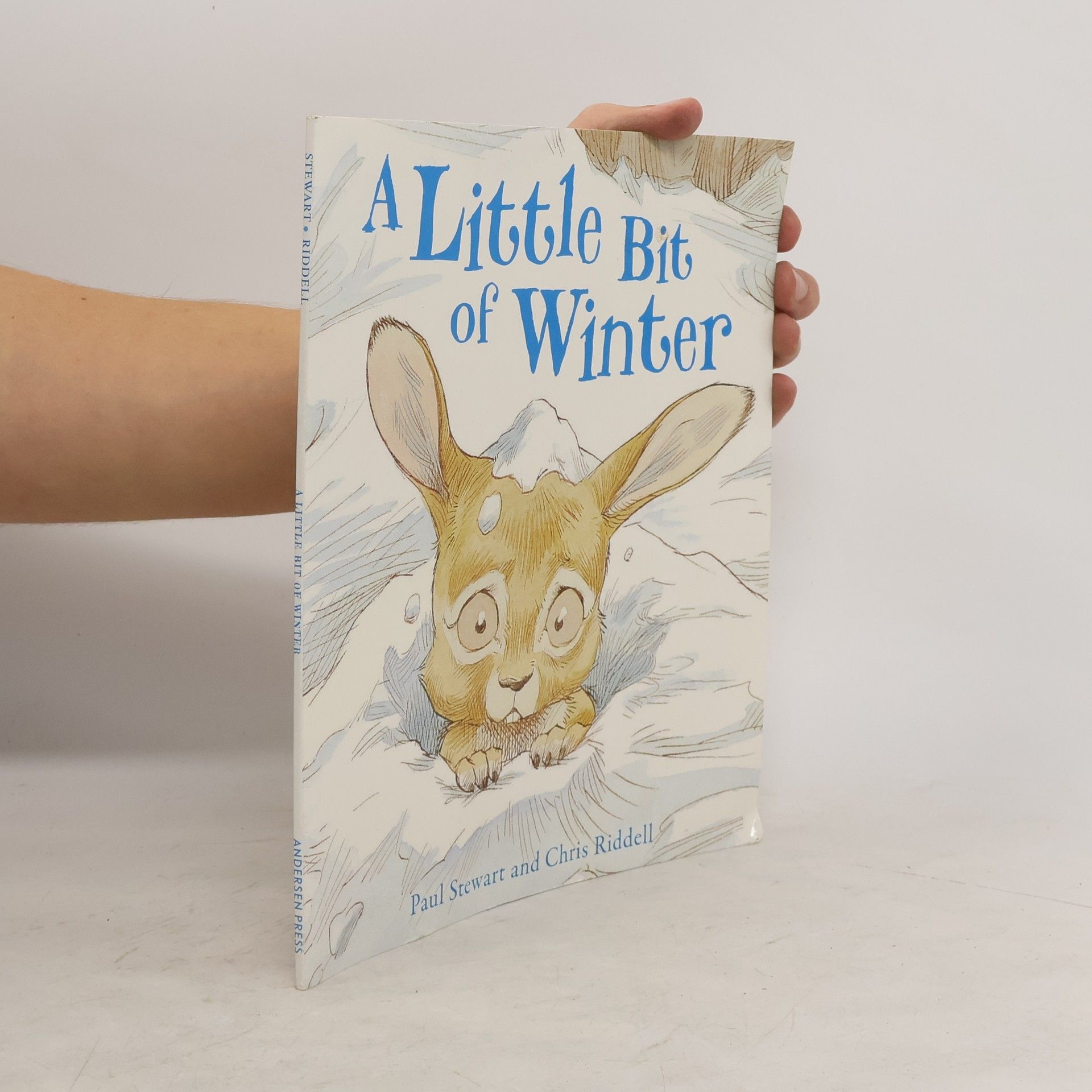 Collectif d'auteurs A Little Bit of Winter