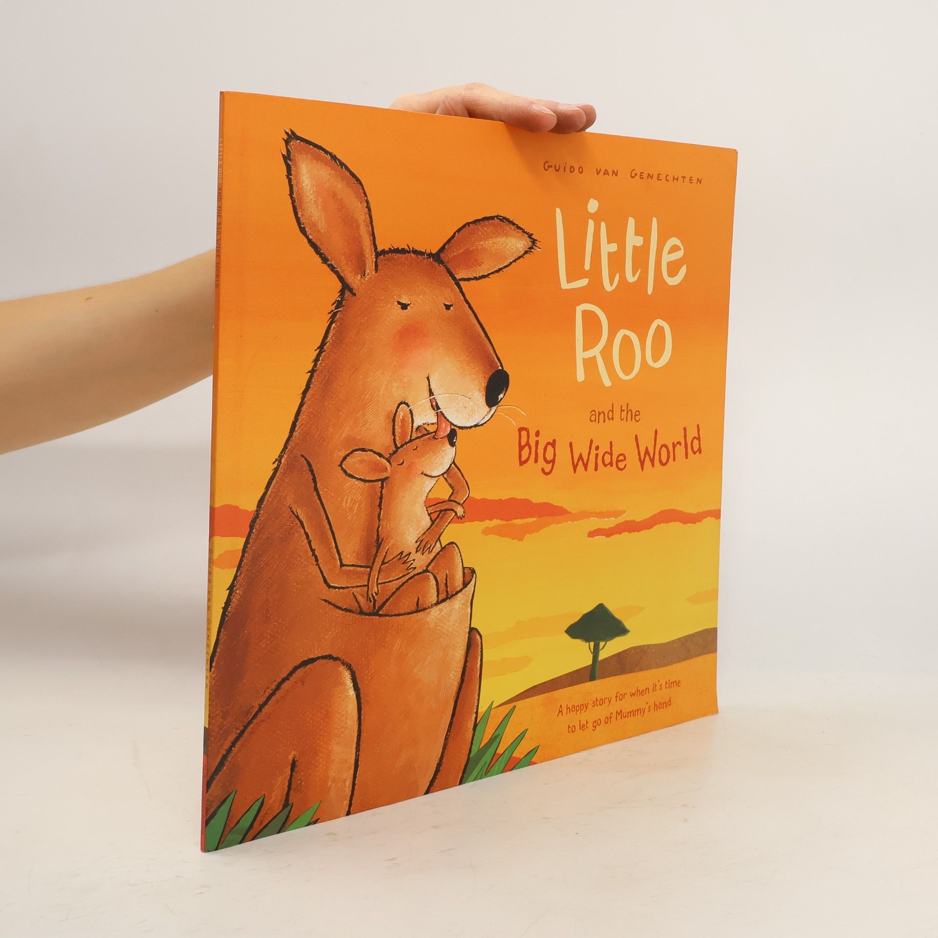 Guido Van Genechten Little Roo and the Big Wide World