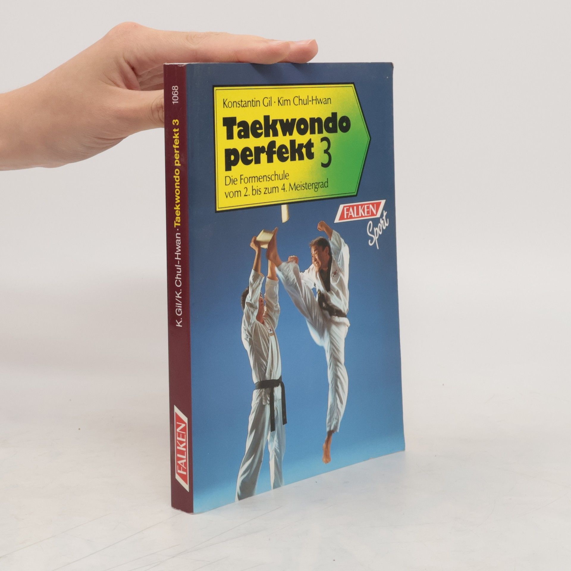 Konstantin Gil Taekwondo perfekt 3