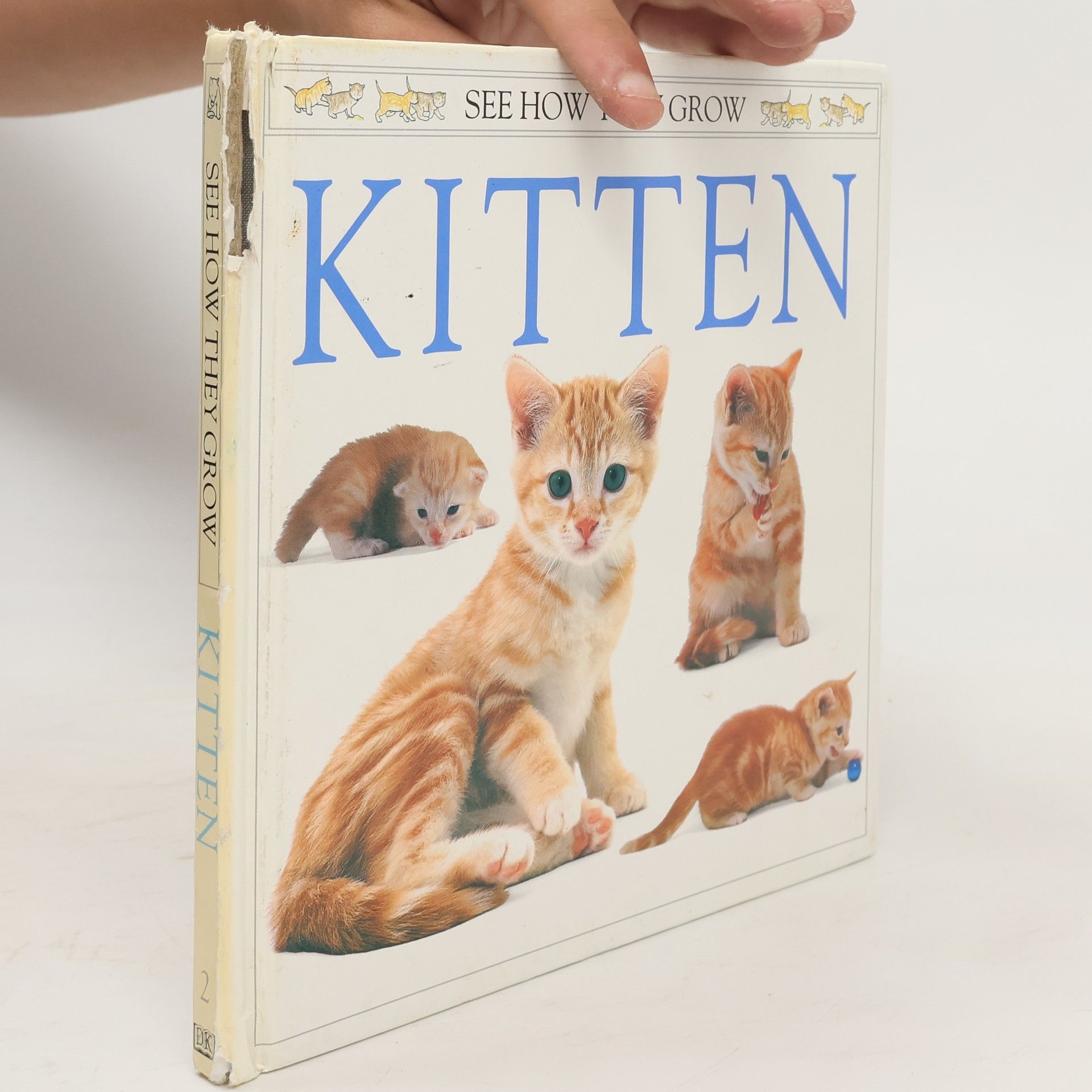 Jane Burton Kitten