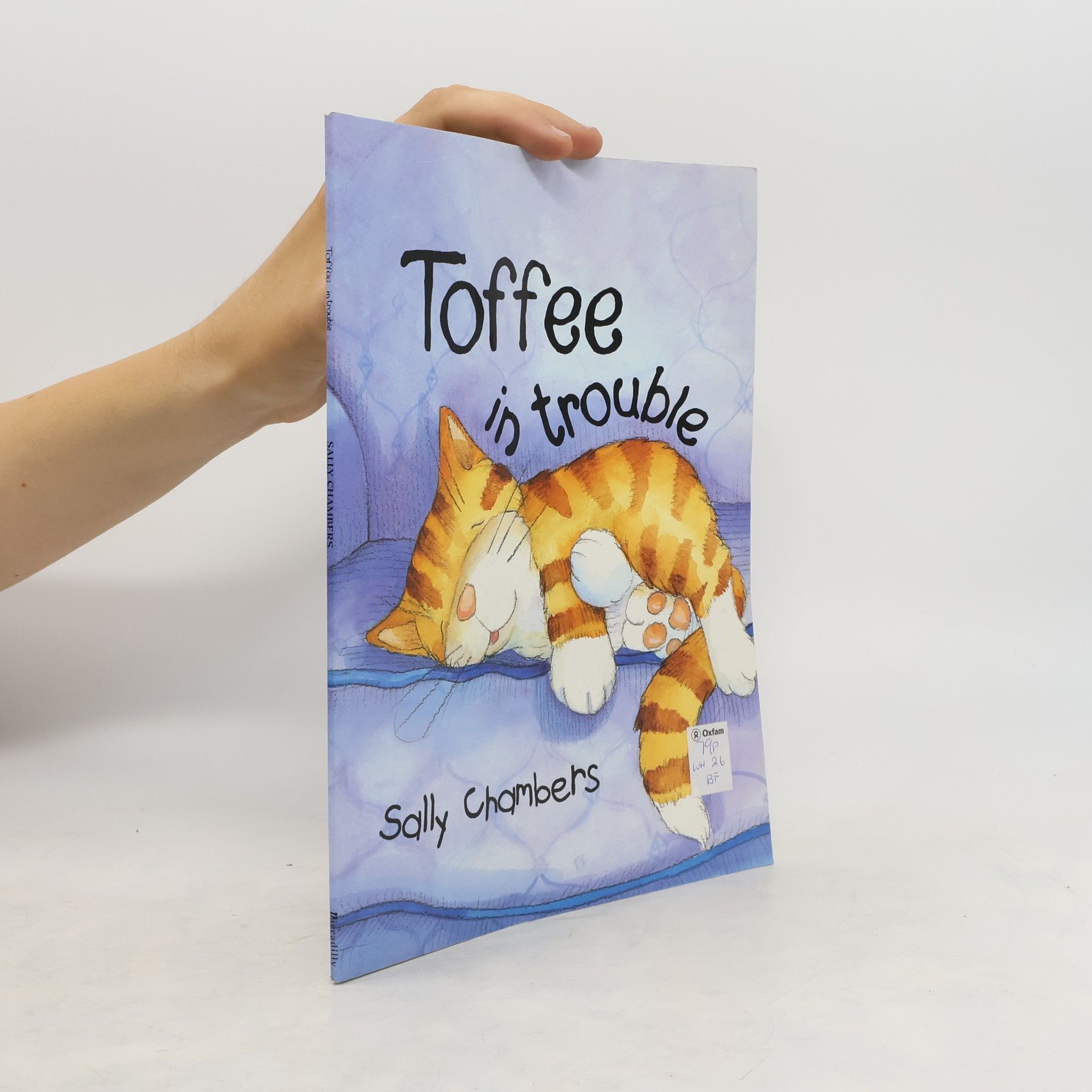 Sally Chambers Toffee in Trouble